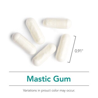 Foto 4 | Suplemento Nutricology Mastic Gum Dietary 120 Cápsulas - Venta Internacional.