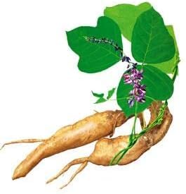 Foto 6 | Suplemento Smshealthproducts.com Pueraria Mirifica 200 Cápsulas - Venta Internacional.