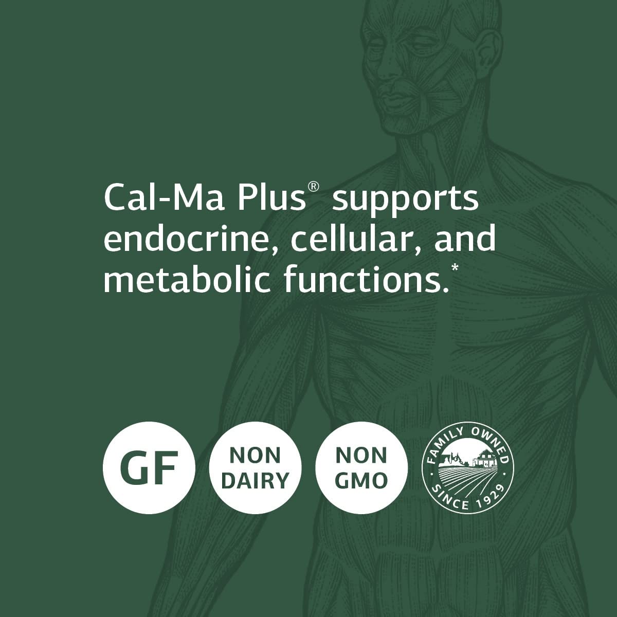 Foto 5 pulgar | Suplemento Cal-ma Plus 180 Comprimidos De Standard Process Inc. - Venta Internacional.