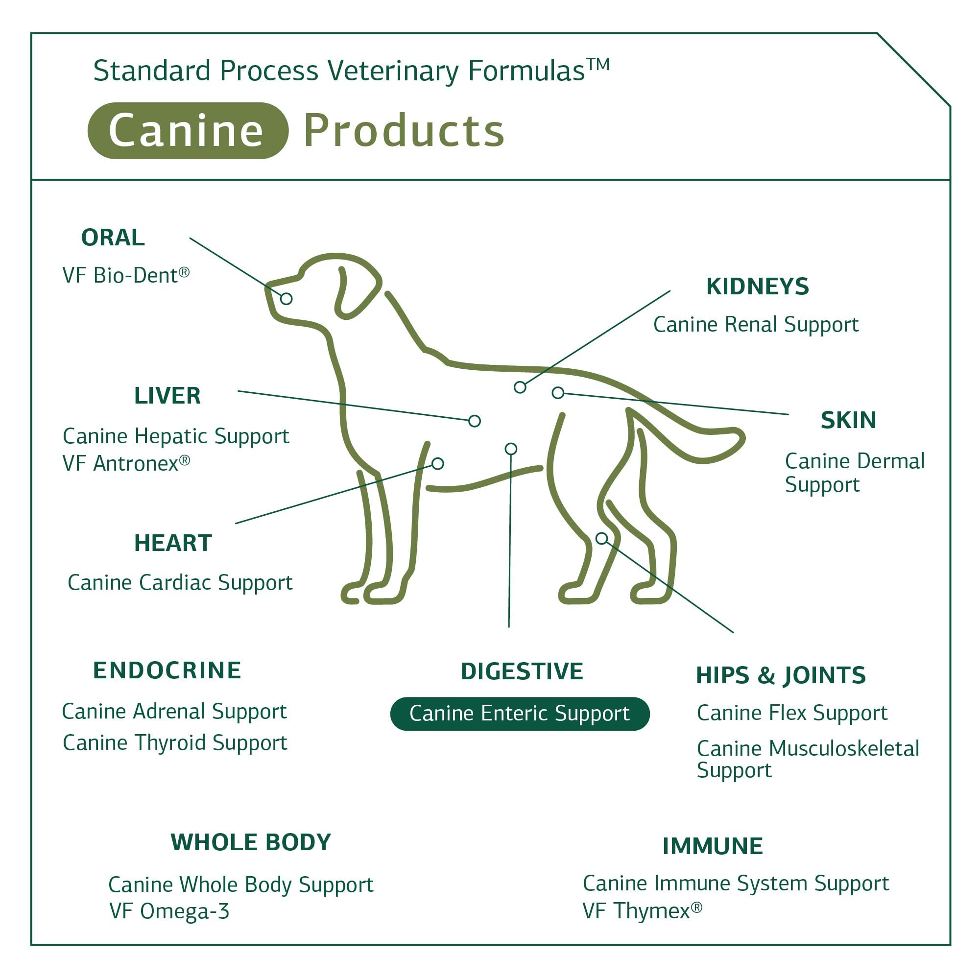 Foto 5 | Suplemento Para Perros Standard Process Canine Enteric Support 30 G - Venta Internacional.