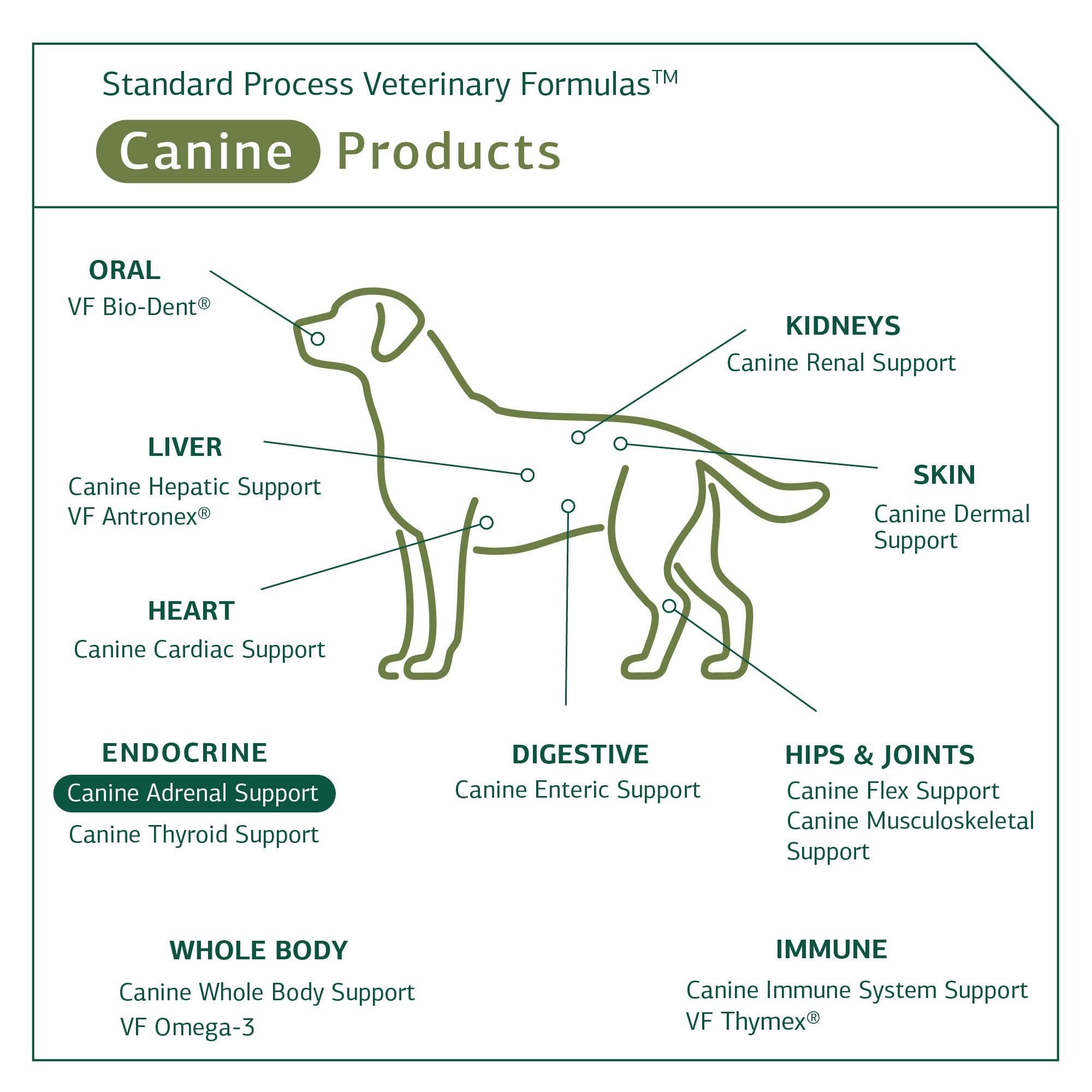 Foto 6 pulgar | Suplemento Canine Adrenal Support Standard Process Inc., De 25 G - Venta Internacional.
