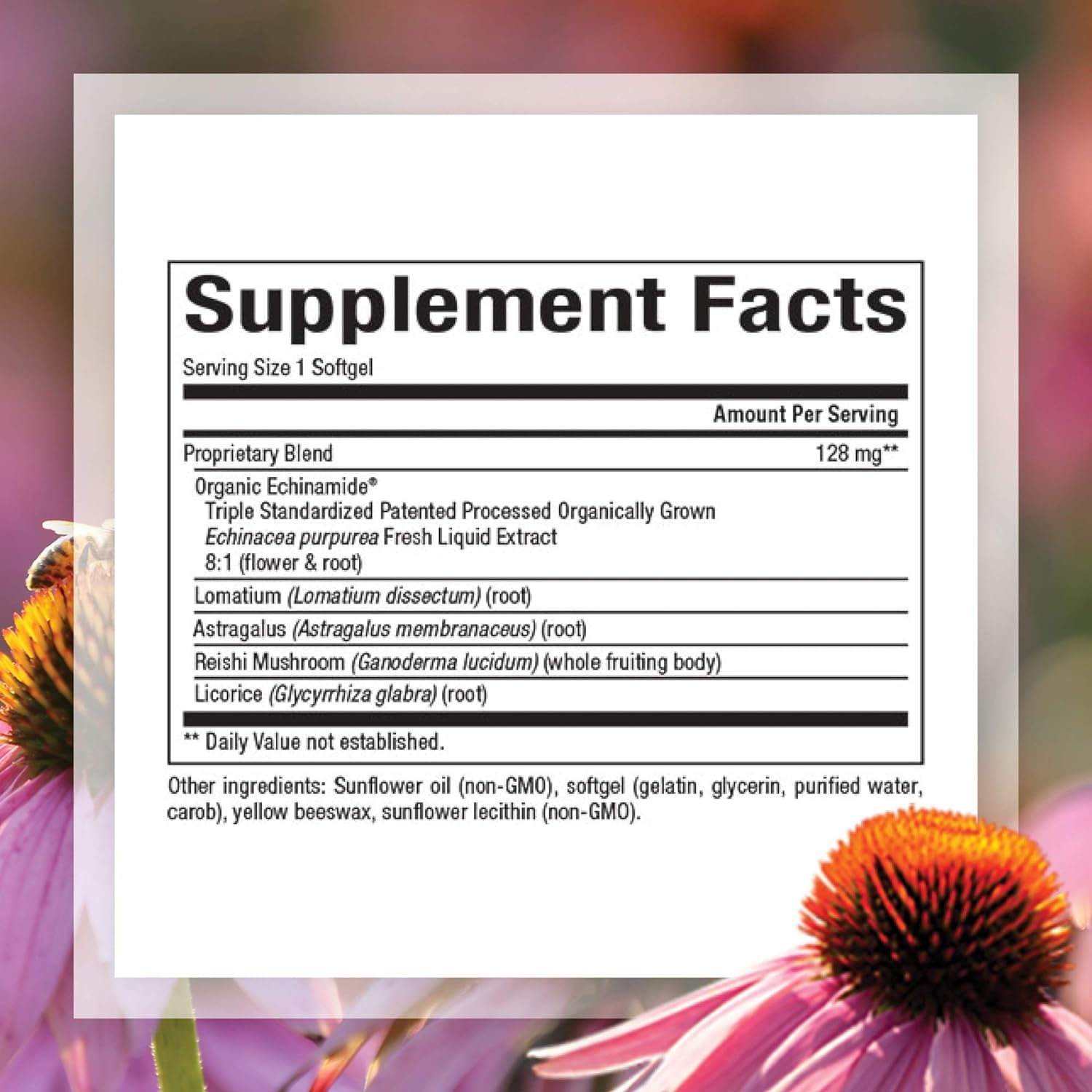 Foto 2 | Suplemento Natural Factors Anti-v Formula Echinacea 120 Cápsulas Blandas - Venta Internacional.
