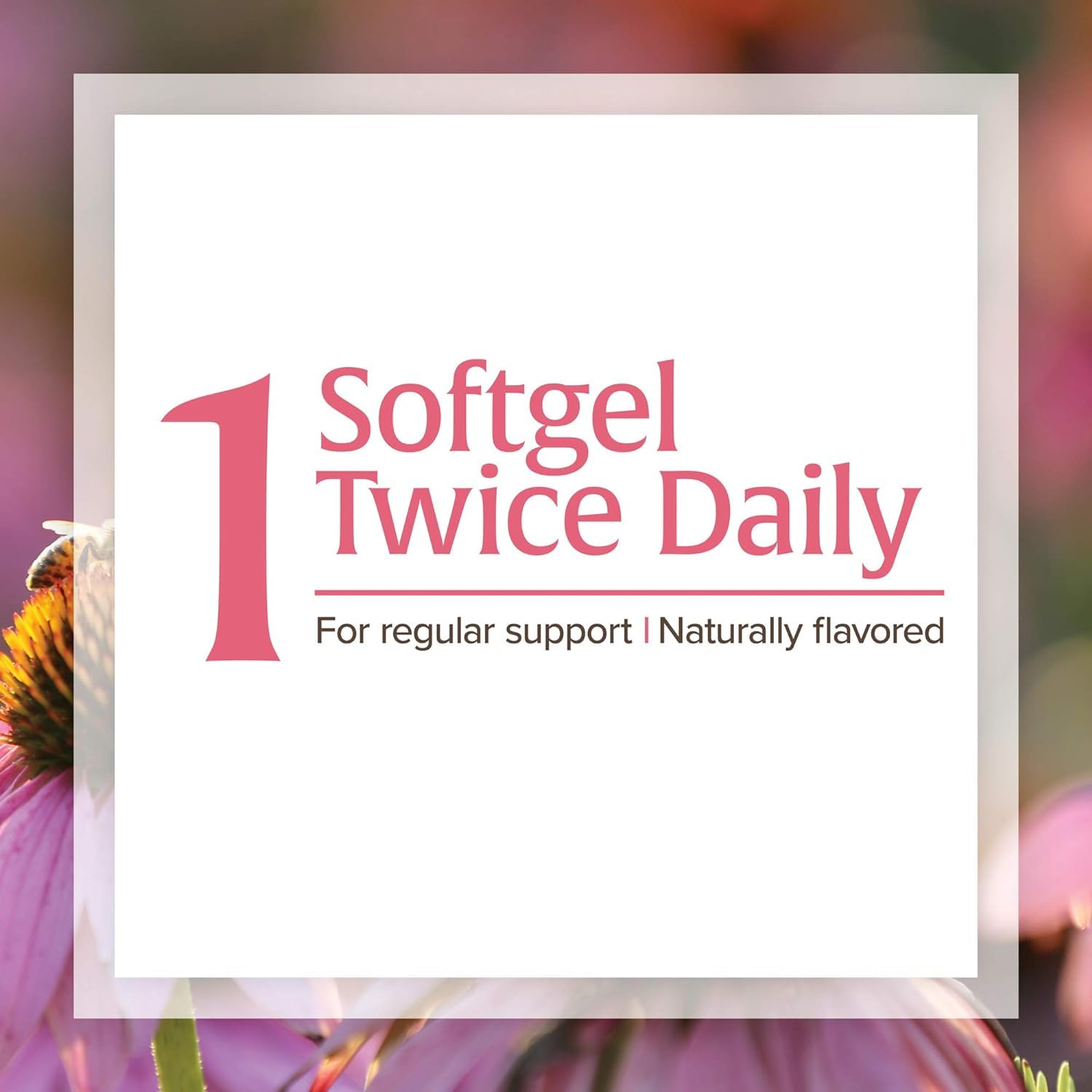 Foto 7 pulgar | Suplemento Natural Factors Anti-v Formula Echinacea 120 Cápsulas Blandas - Venta Internacional.