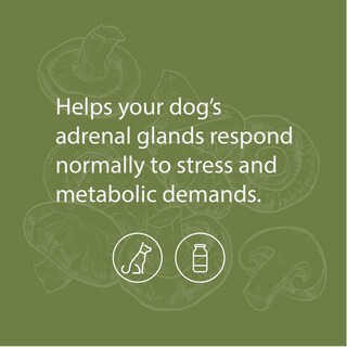 Foto 3 | Suplemento Canino Standard Process Adrenal Support 100 G - Venta Internacional.