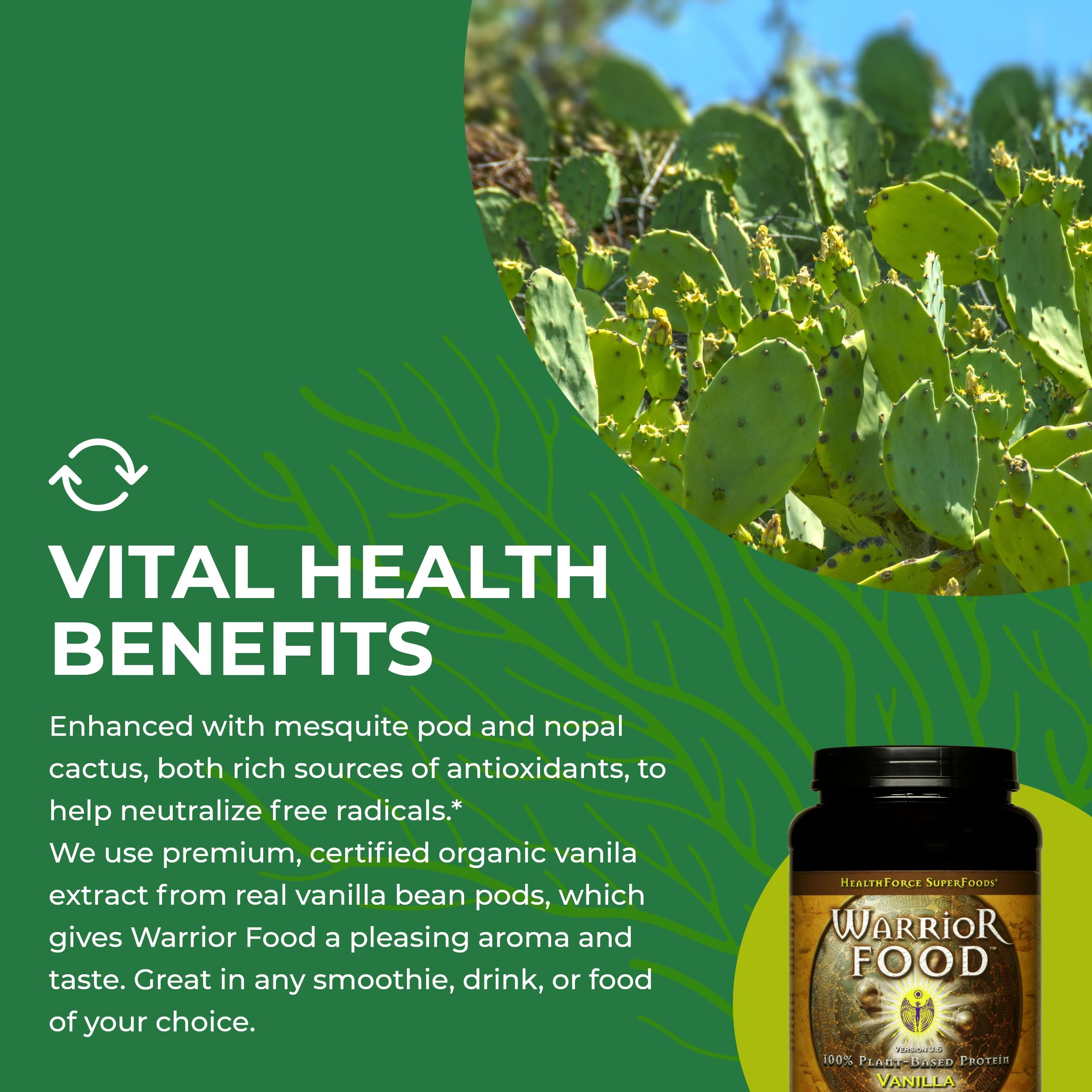 Foto 7 pulgar | Proteína En Polvo Healthforce Superfoods Warrior Food 1 Kg - Venta Internacional.