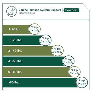 Foto 3 | Suplemento Standard Process Canine Immune System 30 G - Venta Internacional.
