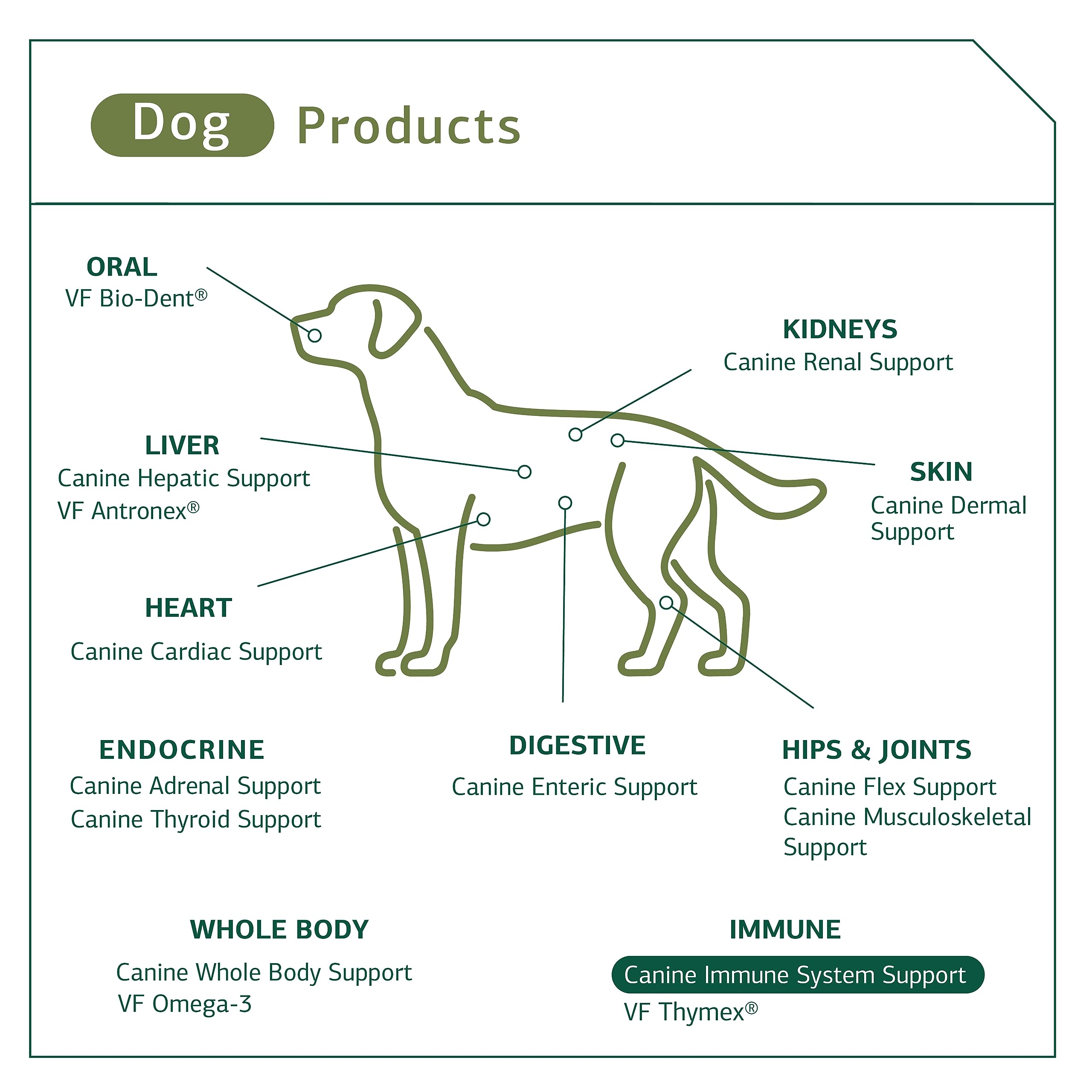 Foto 4 | Suplemento Standard Process Canine Immune System 30 G - Venta Internacional.