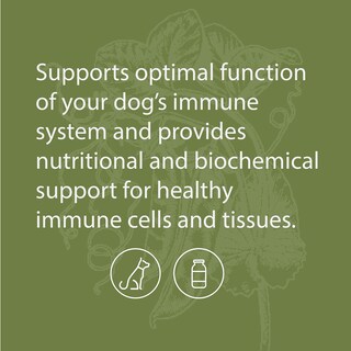 Foto 5 | Suplemento Standard Process Canine Immune System 30 G - Venta Internacional.