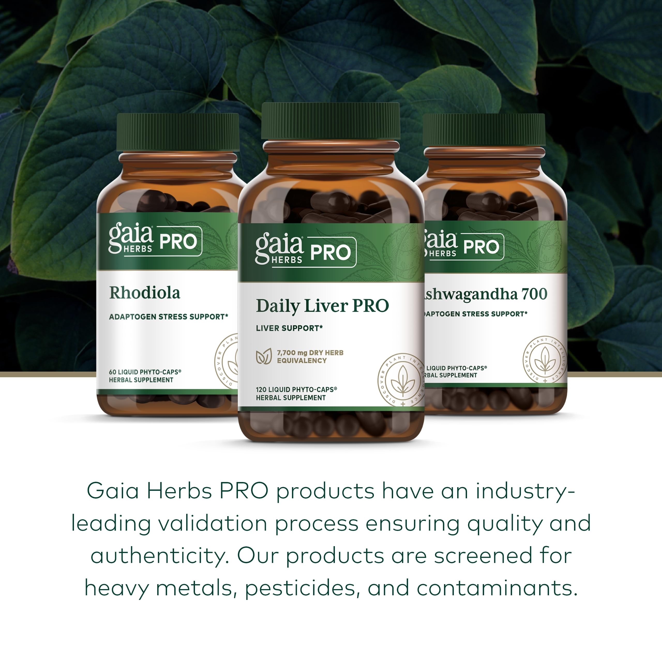 Foto 6 | Suplemento Gaia Herbs Pro Daily Liver Pro 120 Fitocápsulas - Venta Internacional.