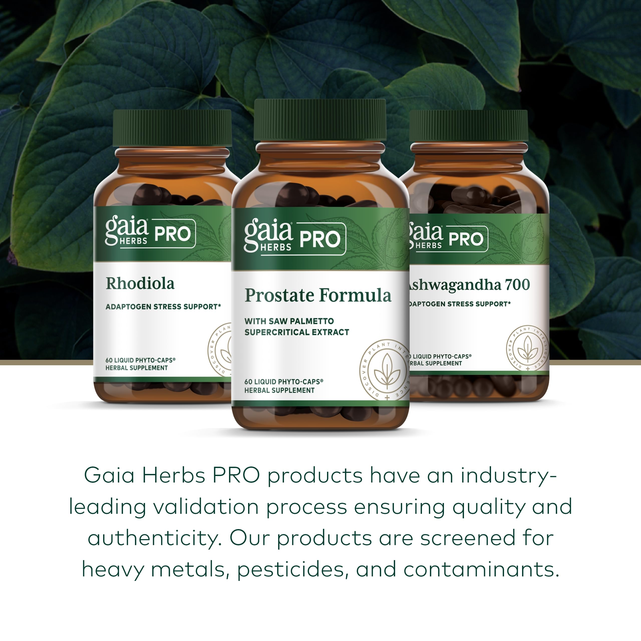 Foto 6 | Suplemento Gaia Herbs Pro Prostate Formula, 60 Fitocápsulas - Venta Internacional.