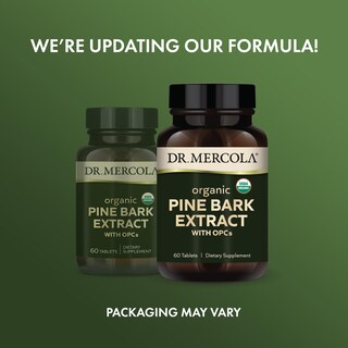 Foto 3 | Suplemento Dr. Mercola Extracto De Corteza De Pino Orgánico 60 Tabletas - Venta Internacional.