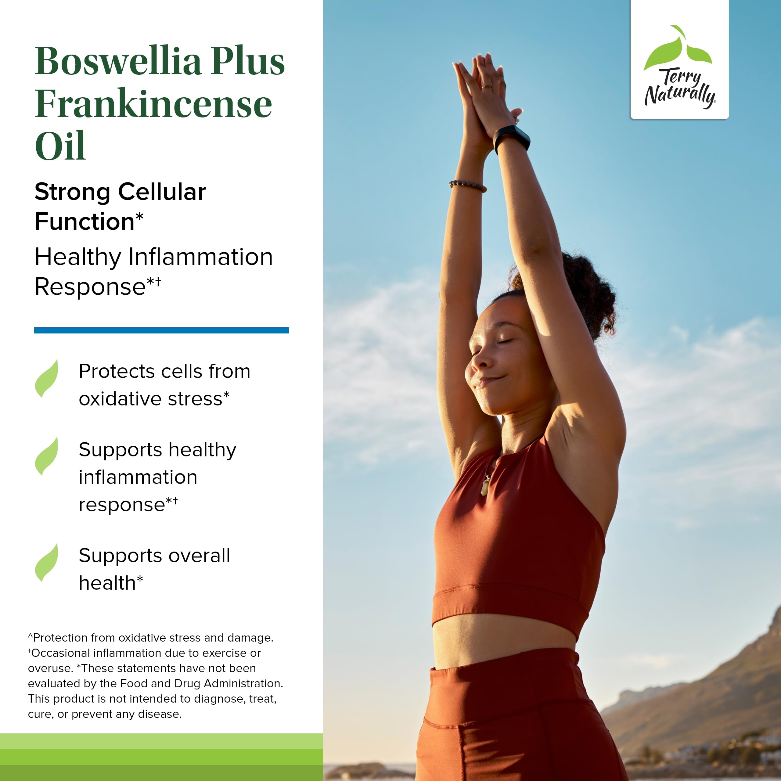 Foto 3 | Suplemento De Aceite De Incienso Terry Naturally Boswellia Plus - Venta Internacional.