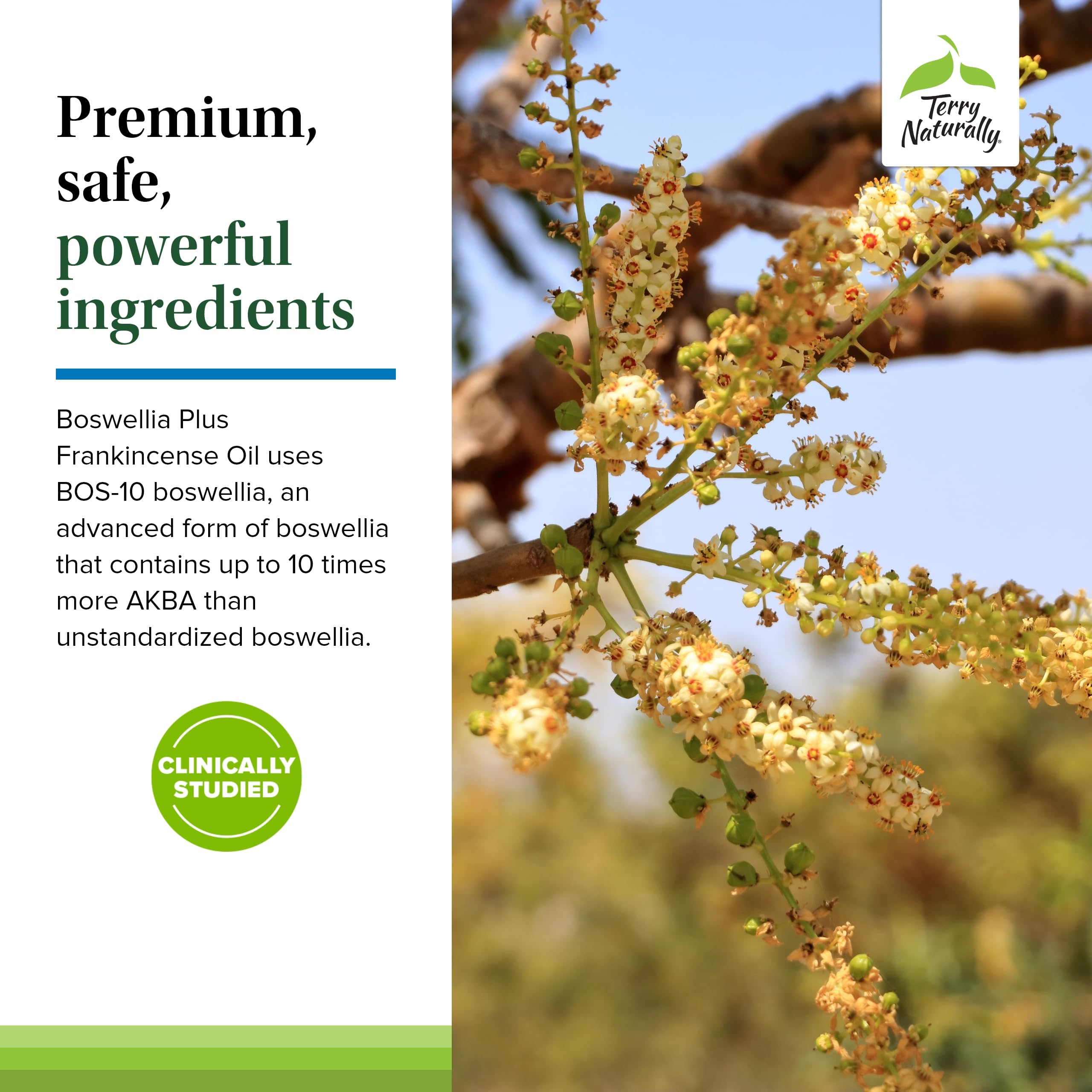 Foto 6 pulgar | Suplemento De Aceite De Incienso Terry Naturally Boswellia Plus - Venta Internacional.