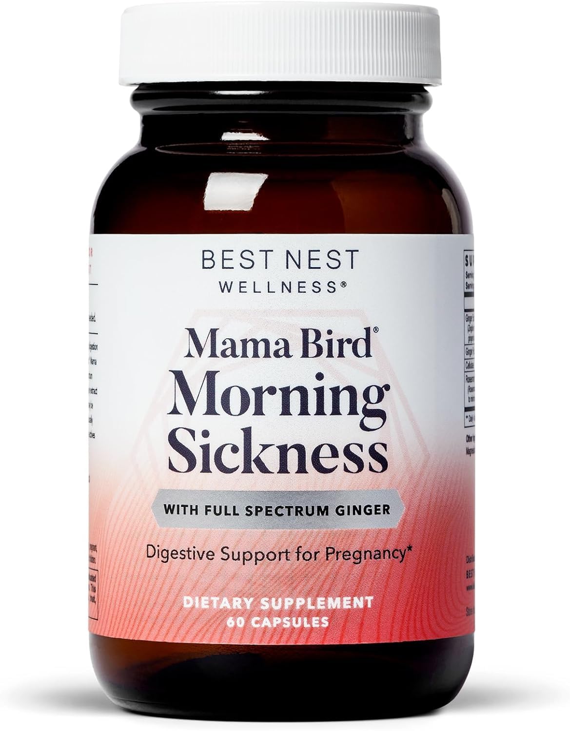 Foto 1 | Suplemento Best Nest Wellness Mama Bird Morning Nickness Relief 60 Cápsulas - Venta Internacional.