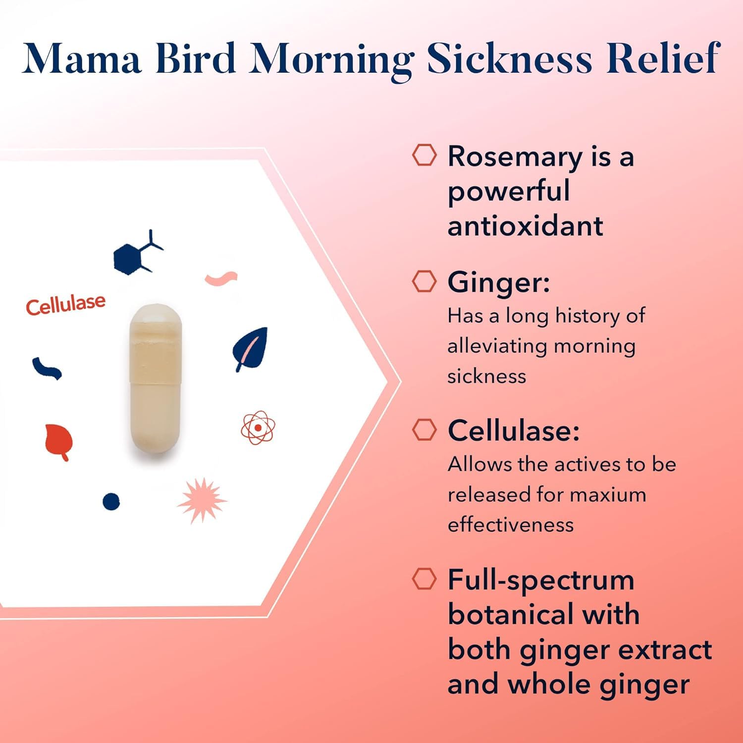 Foto 4 | Suplemento Best Nest Wellness Mama Bird Morning Nickness Relief 60 Cápsulas - Venta Internacional.