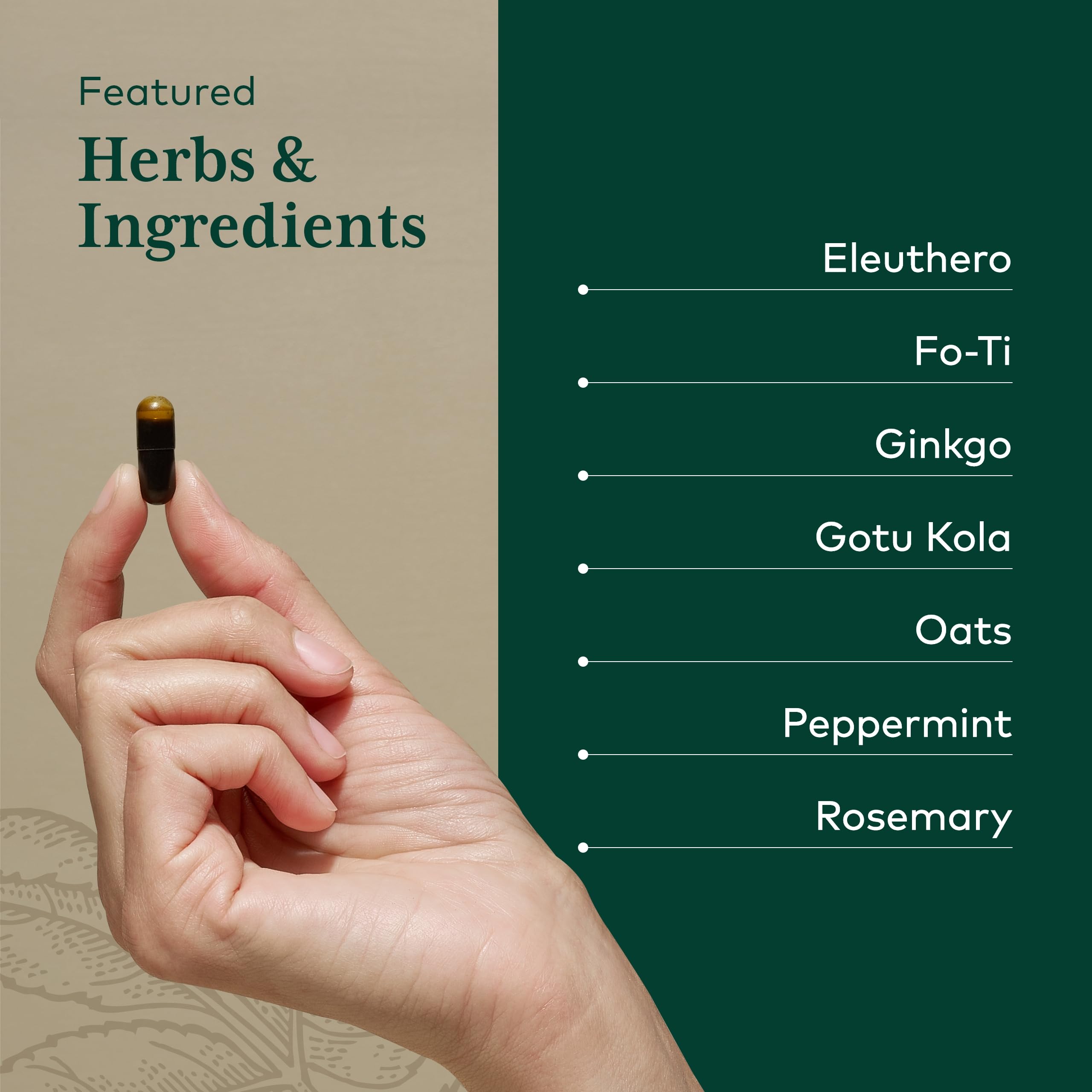 Foto 5 pulgar | Suplemento Gaia Herbs Pro Cognitive Formula, 60 Fitocápsulas - Venta Internacional.