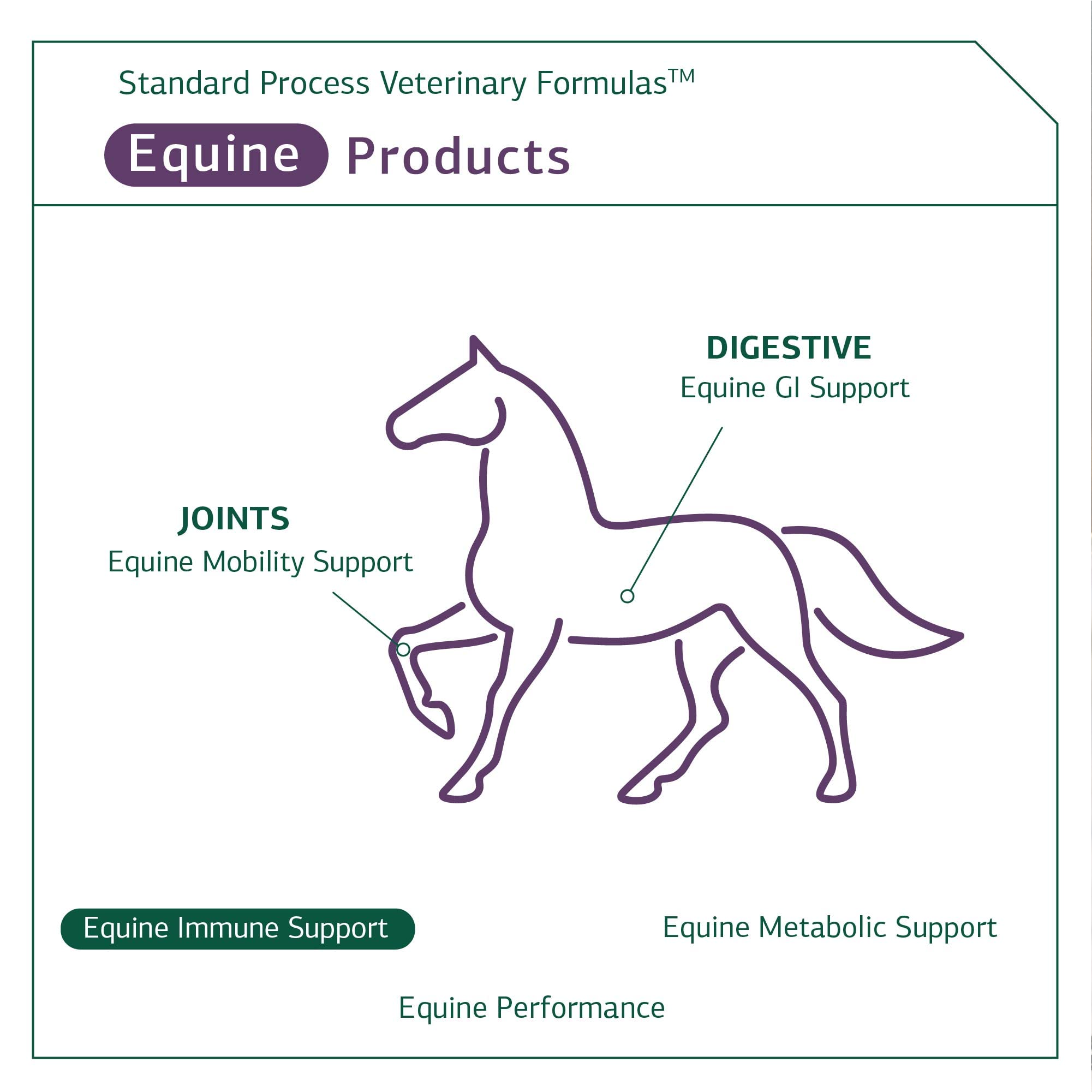 Foto 6 pulgar | Suplemento Dietético Standard Process Equine Immune 850 G - Venta Internacional.