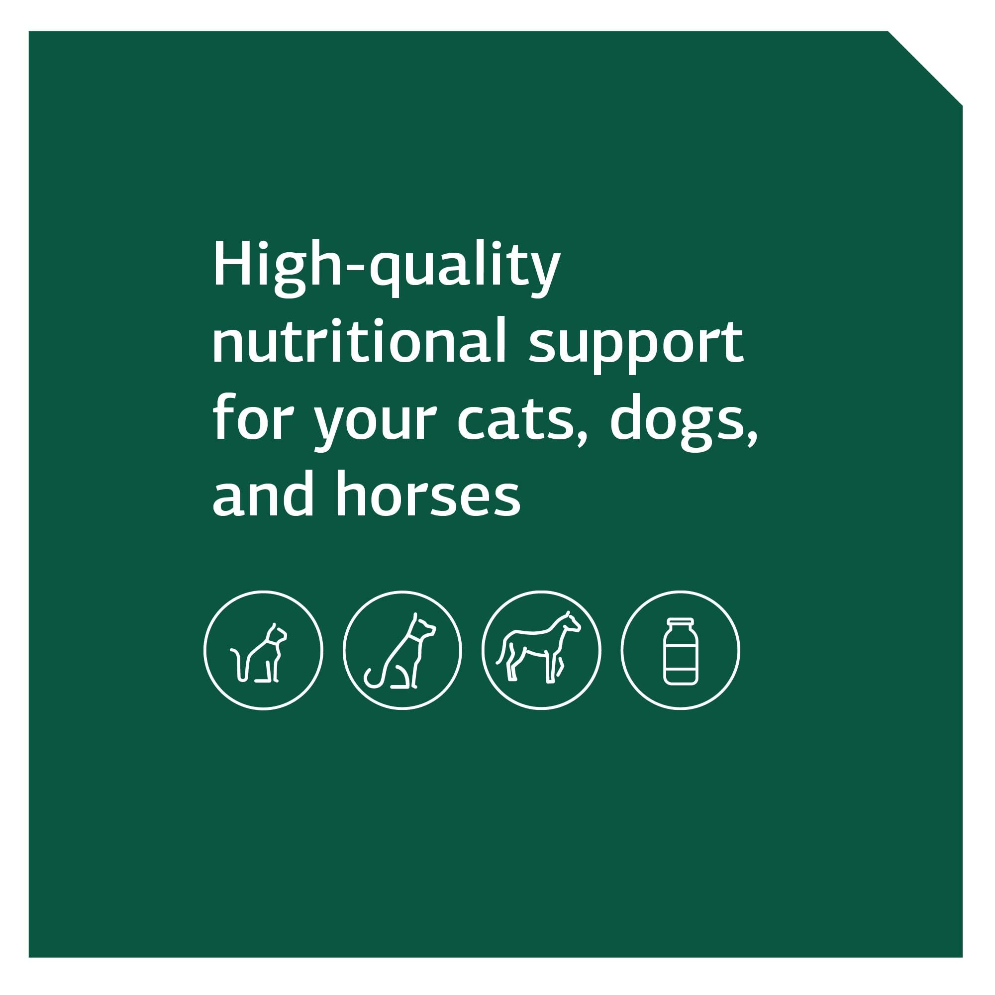 Foto 8 pulgar | Suplemento Dietético Standard Process Equine Immune 850 G - Venta Internacional.