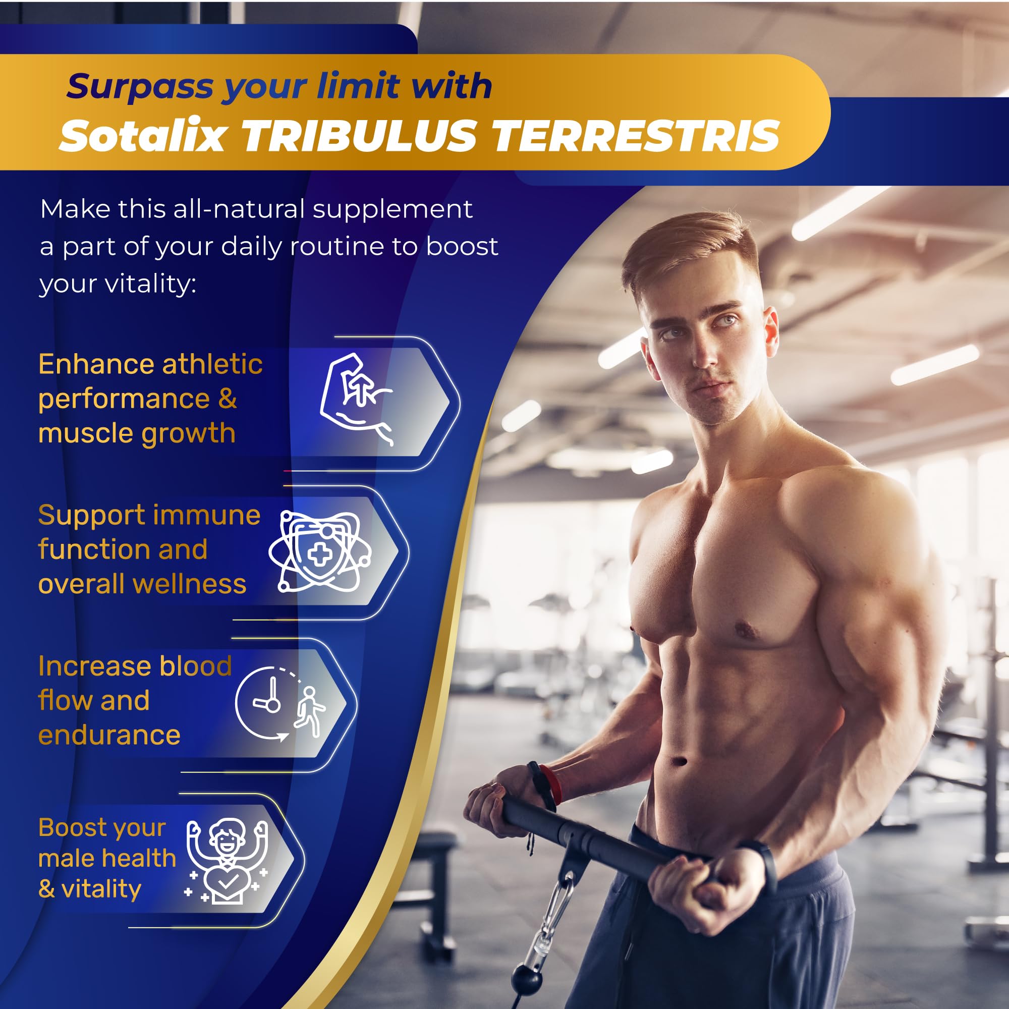 Foto 4 | Suplemento Sotalix Extracto De Tribulus Terrestris 9150 Mg 90 Cápsulas - Venta Internacional.