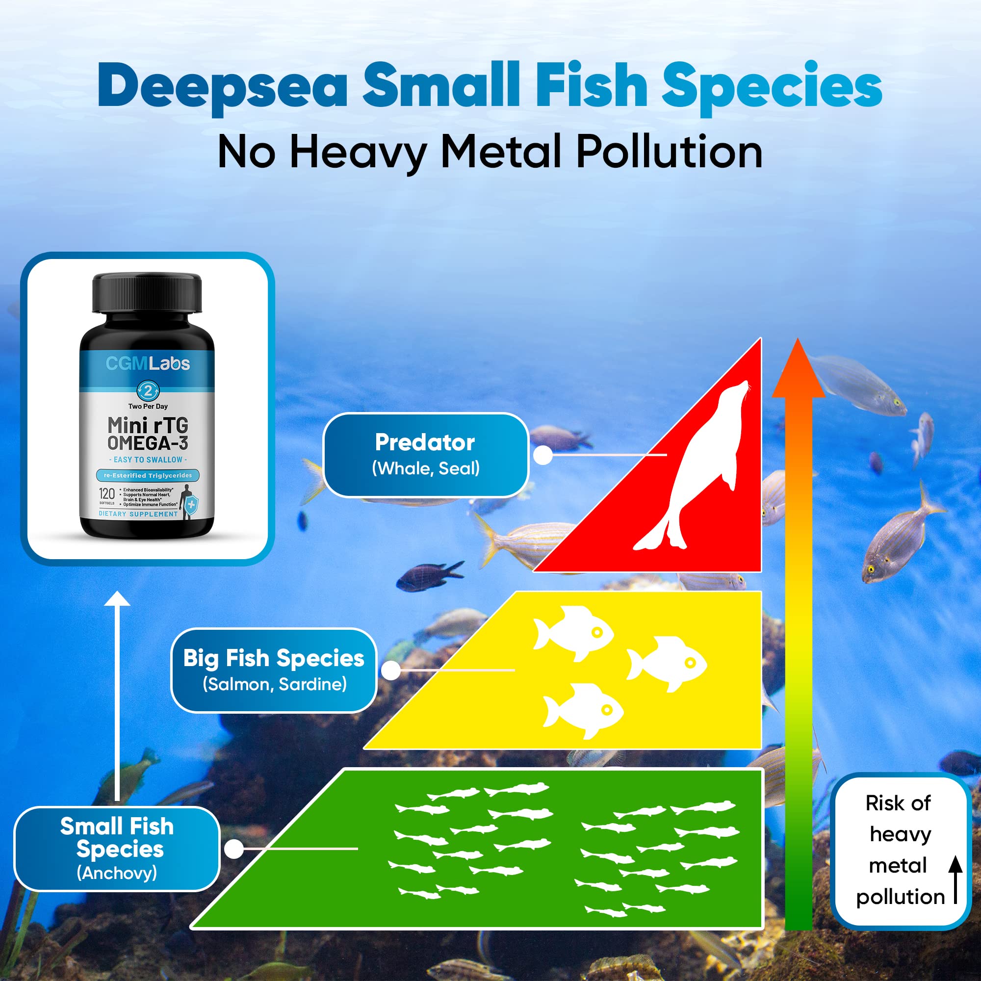 Foto 5 pulgar | Suplemento Dietético Aceite De Pescado Rtg Omega 3 De Cgm Labs 960 Mg - Venta Internacional.