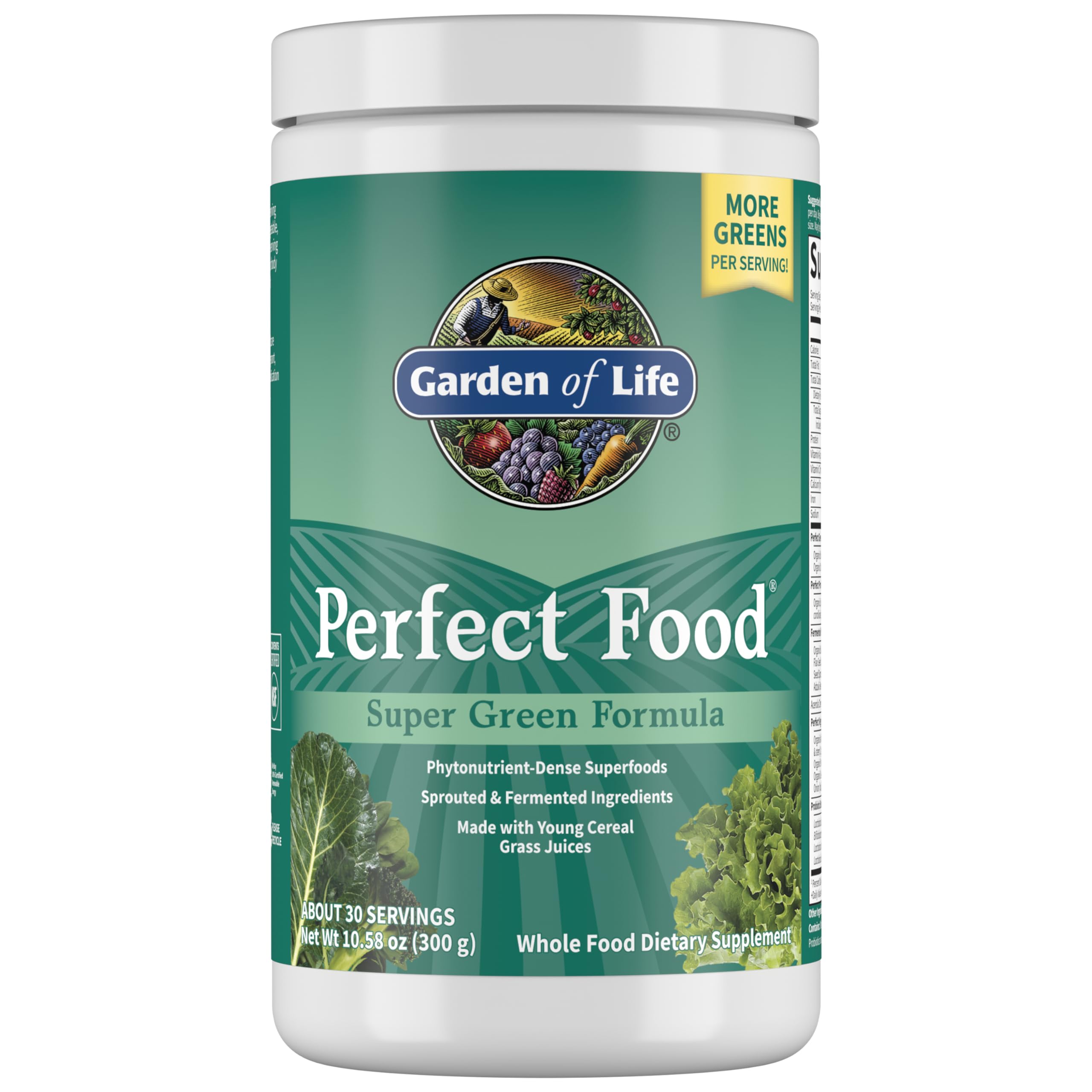 Foto 1 | Suplemento Garden Of Life Perfect Food Super Green Para 30 Porciones - Venta Internacional.