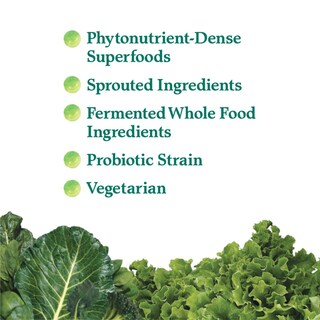 Foto 2 | Suplemento Garden Of Life Perfect Food Super Green Para 30 Porciones - Venta Internacional.