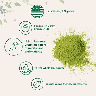 Foto 3 | Microingredientes De Hierba De Trigo En Polvo, 454 G, 100% Orgánico - Venta Internacional.