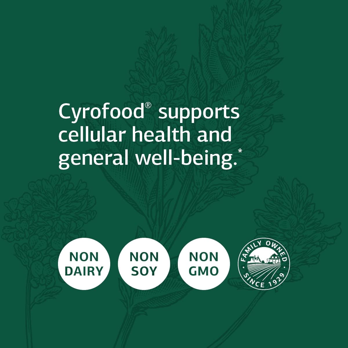 Foto 4 | Suplemento Cyrofood 360 Comprimidos De Standard Process Inc. - Venta Internacional.
