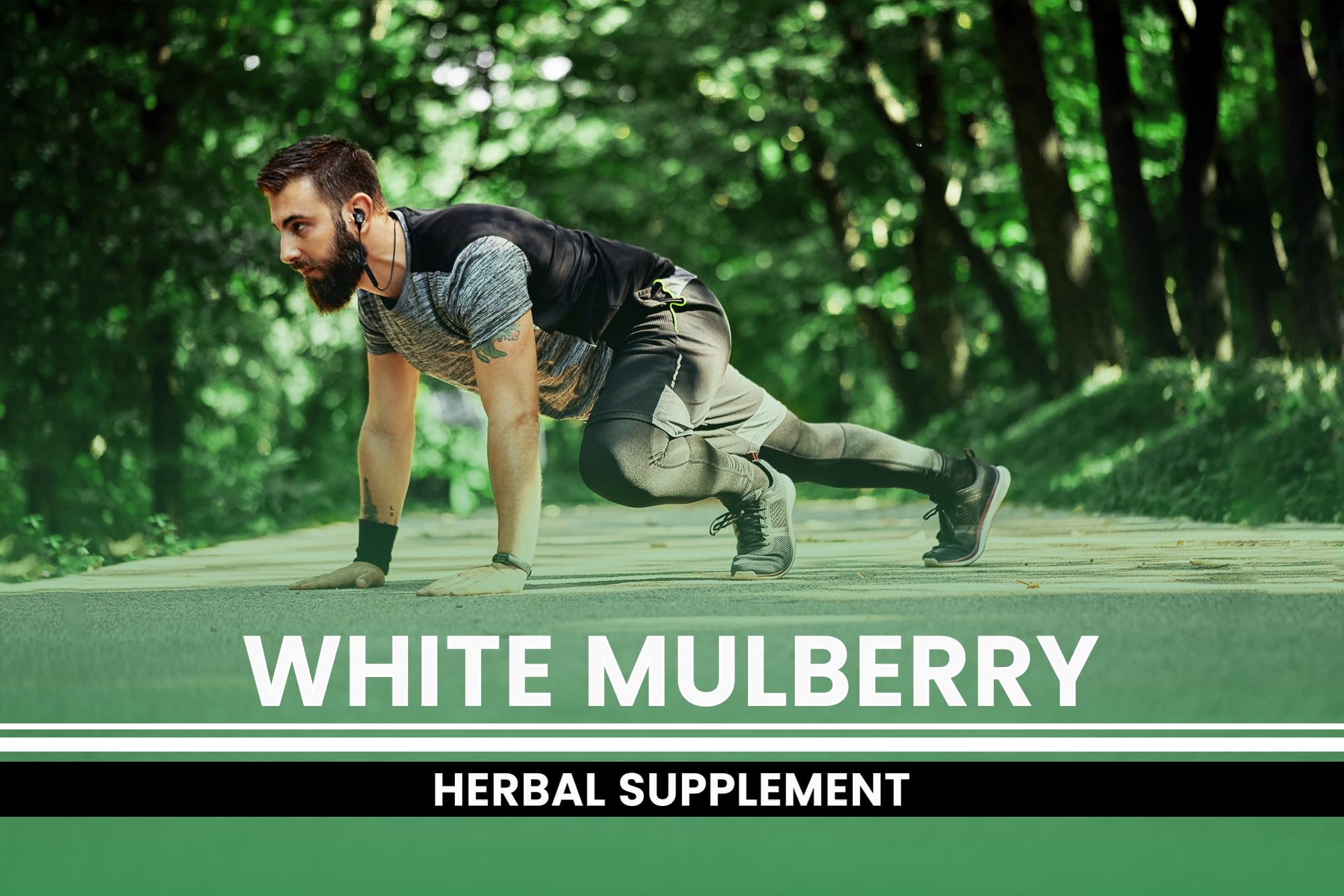 Foto 5 | Suplemento Pure Original Ingredients White Mulberry 365 Cápsulas - Venta Internacional.