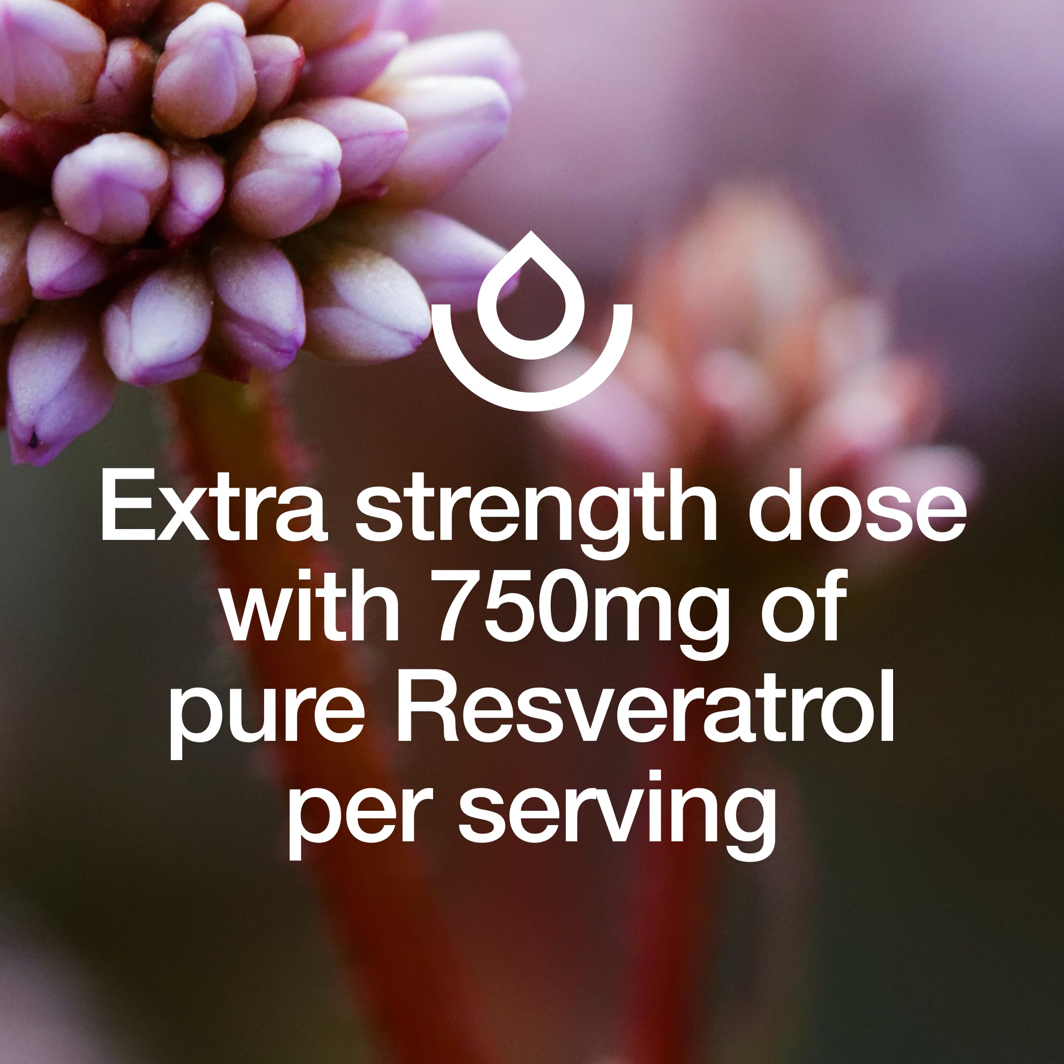 Foto 5 | Suplemento Fresh Nutrition Resveratrol 750 Mg 90 Cápsulas - Venta Internacional.