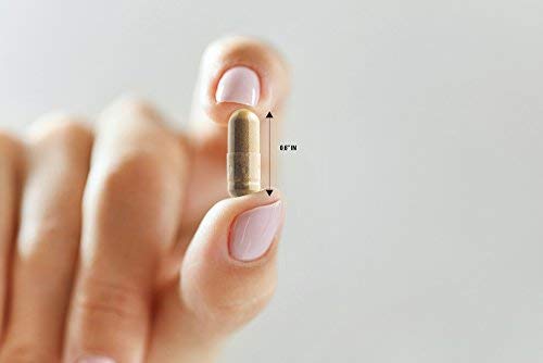 Foto 4 pulgar | Suplemento Alfa Vitamins Resveratrol 1000 Mg 60 Cápsulas - Venta Internacional.