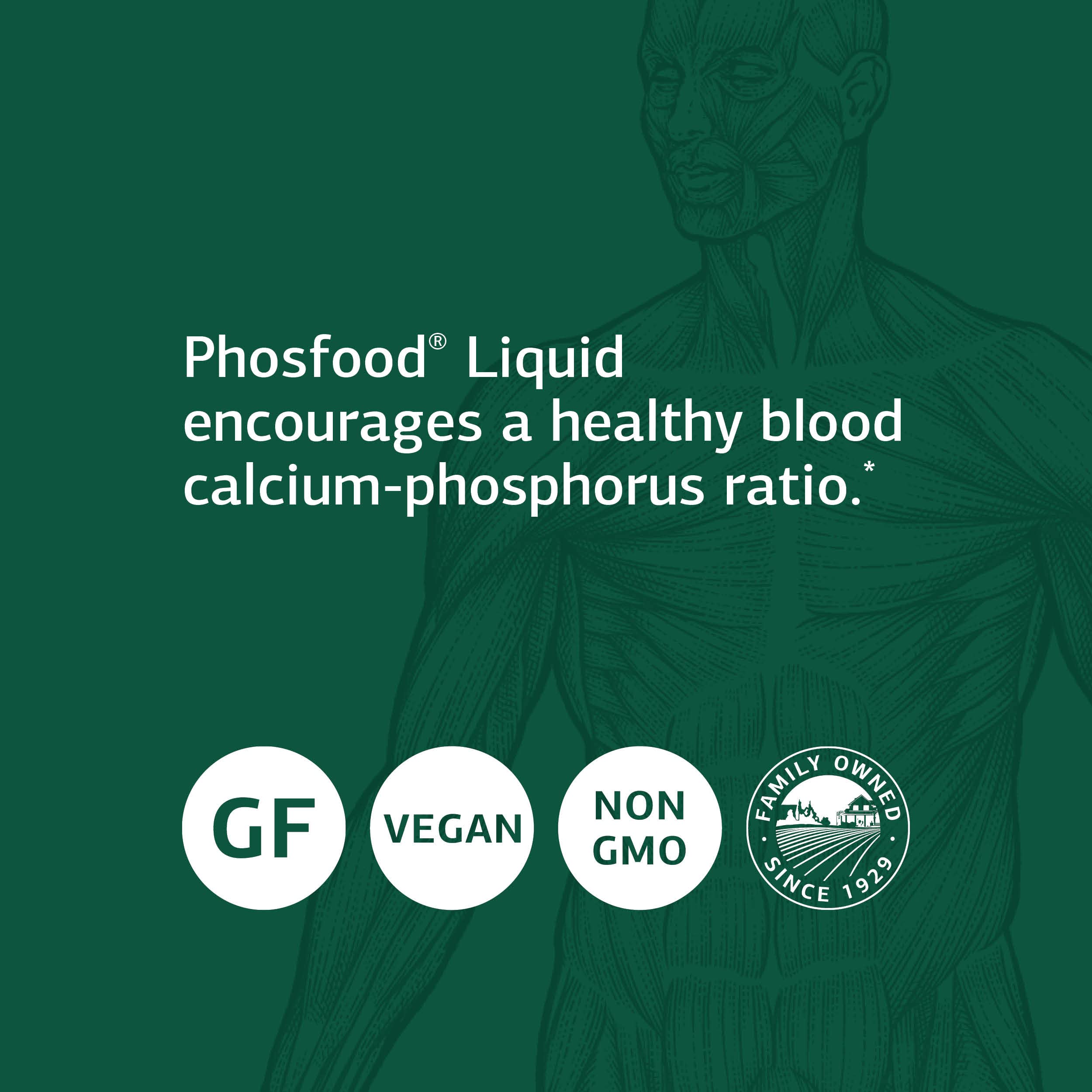 Foto 5 pulgar | Supplement Standard Process Phosfood Liquid Bone Support 60 M - Venta Internacional.