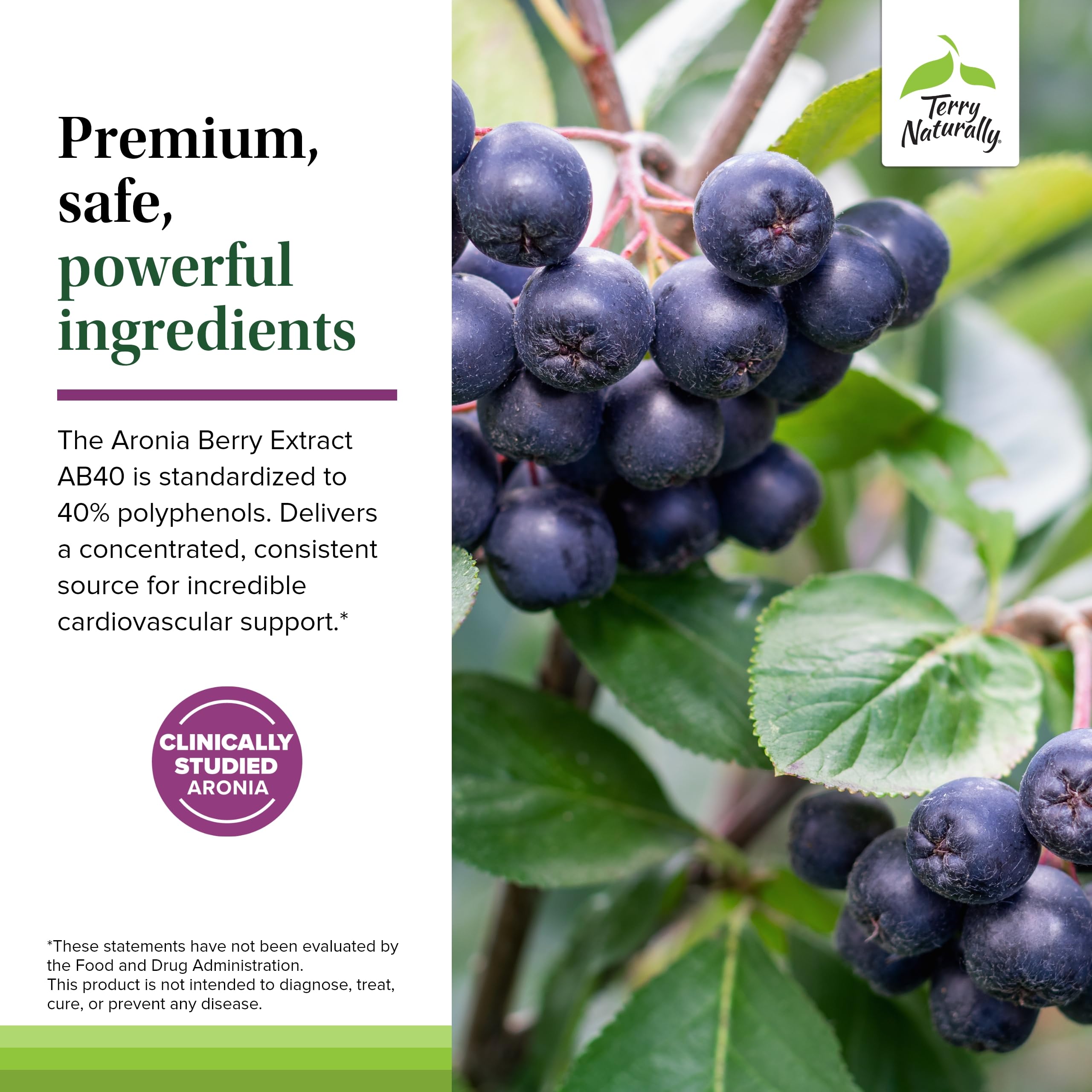Foto 5 | Suplemento Terry Naturally Aronia Berry Complex 60 Cápsulas - Venta Internacional.