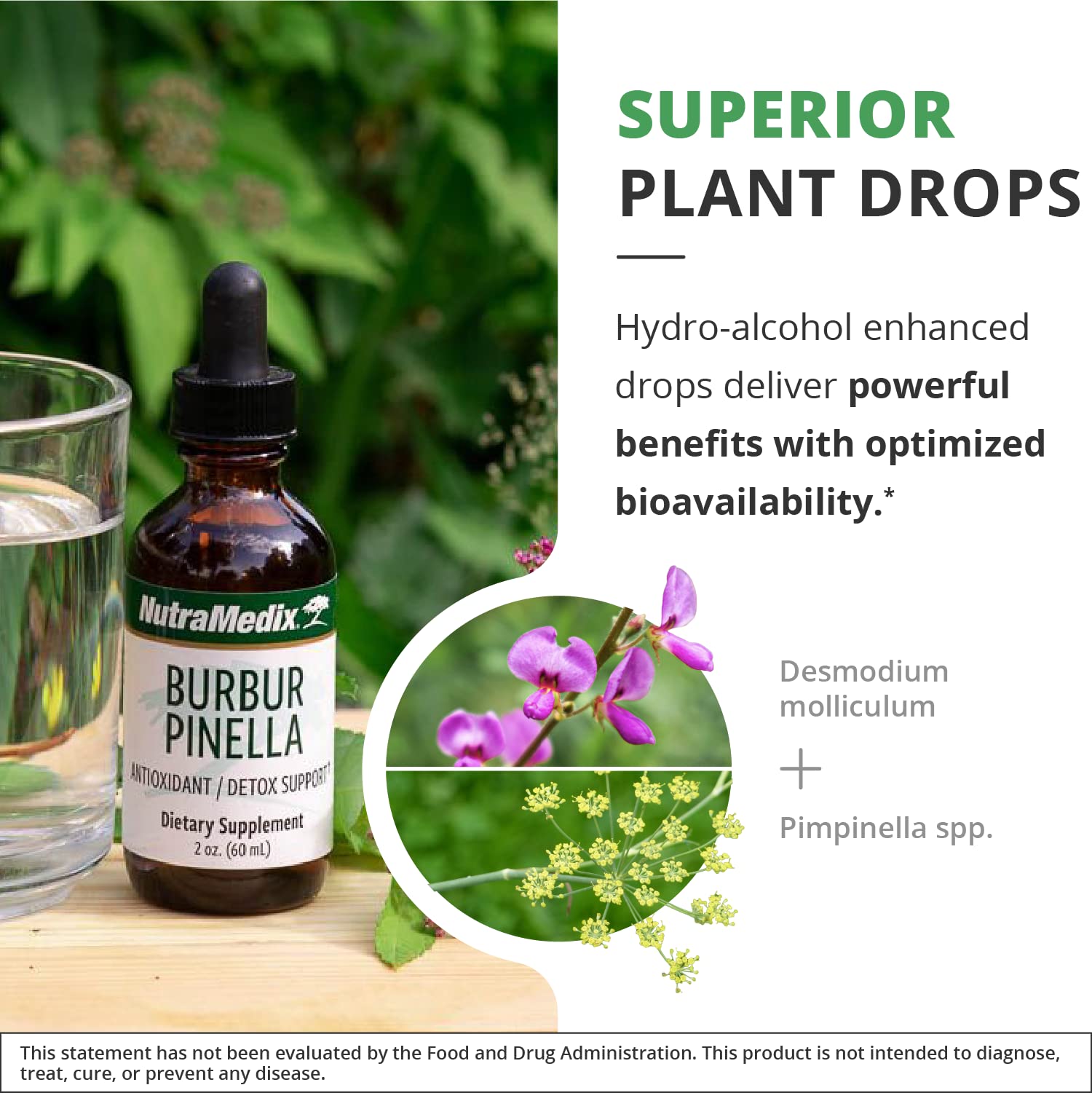 Foto 6 pulgar | Suplemento Nutramedix Burbur-pinella Brain Health 60 Ml - Venta Internacional.