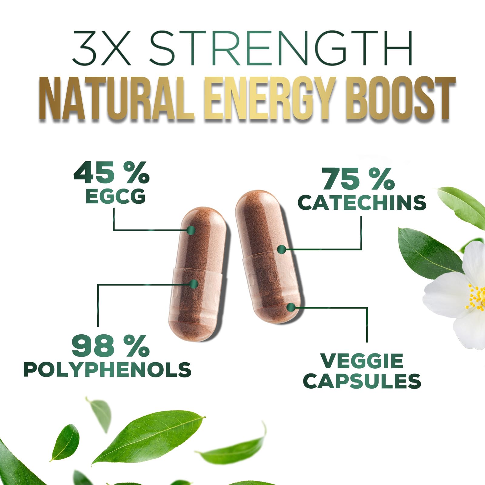 Foto 4 pulgar | Píldoras De Extracto De Té Verde Silveronyx 1000 Mg Con Egcg 240 Cápsulas - Venta Internacional.