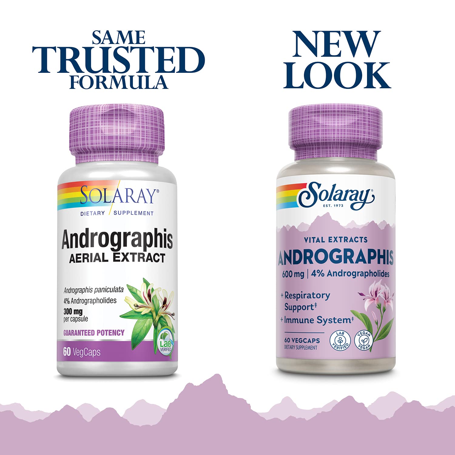 Foto 2 | Suplemento De Extracto Aéreo Solaray Andrographis 600 Mg - Venta Internacional.