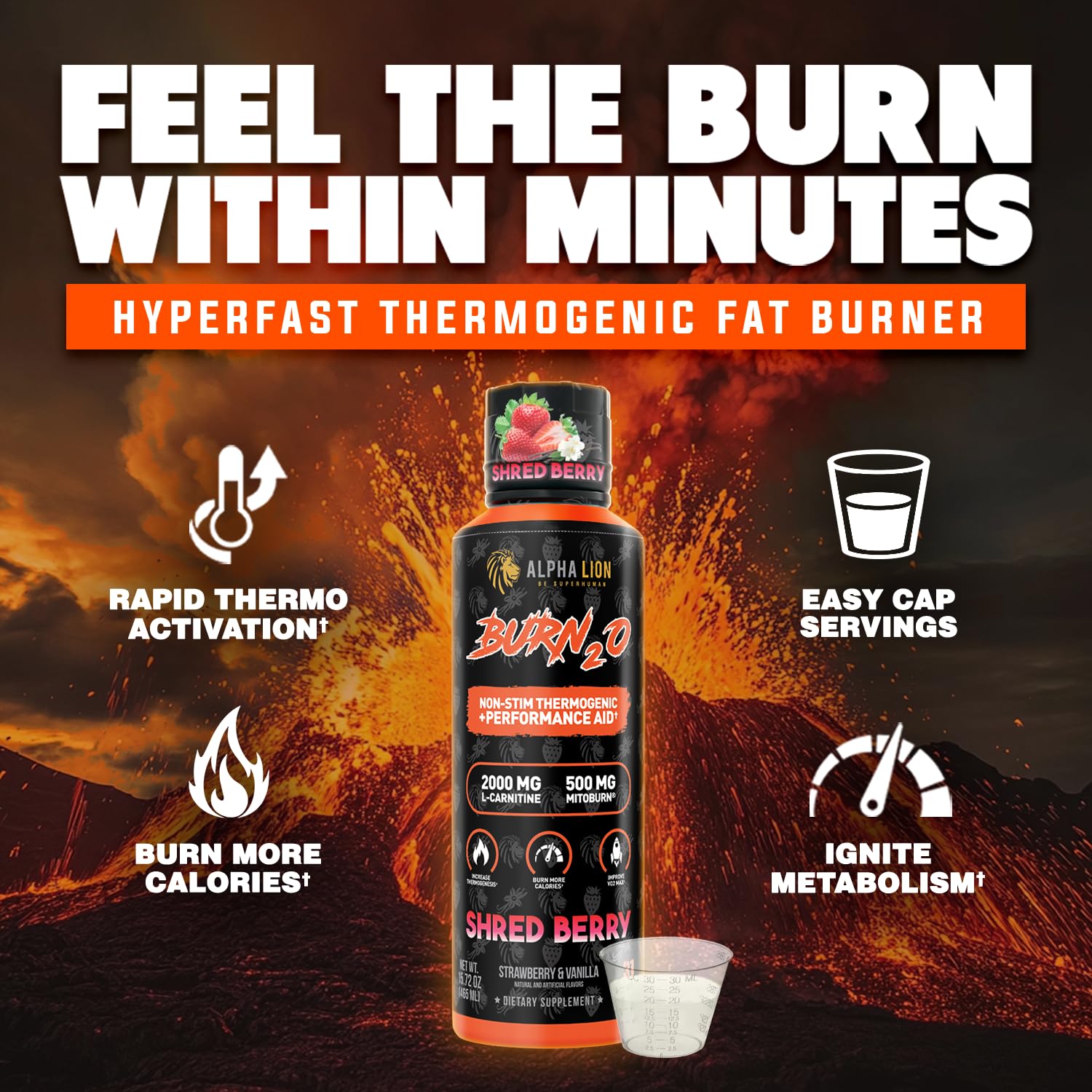 Foto 3 pulgar | Suplemento Líquido De L-carnitina Alpha Lion Burn 20 2000 Mg - Venta Internacional.