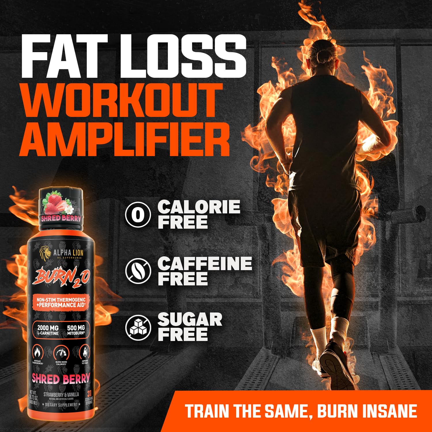 Foto 4 pulgar | Suplemento Líquido De L-carnitina Alpha Lion Burn 20 2000 Mg - Venta Internacional.