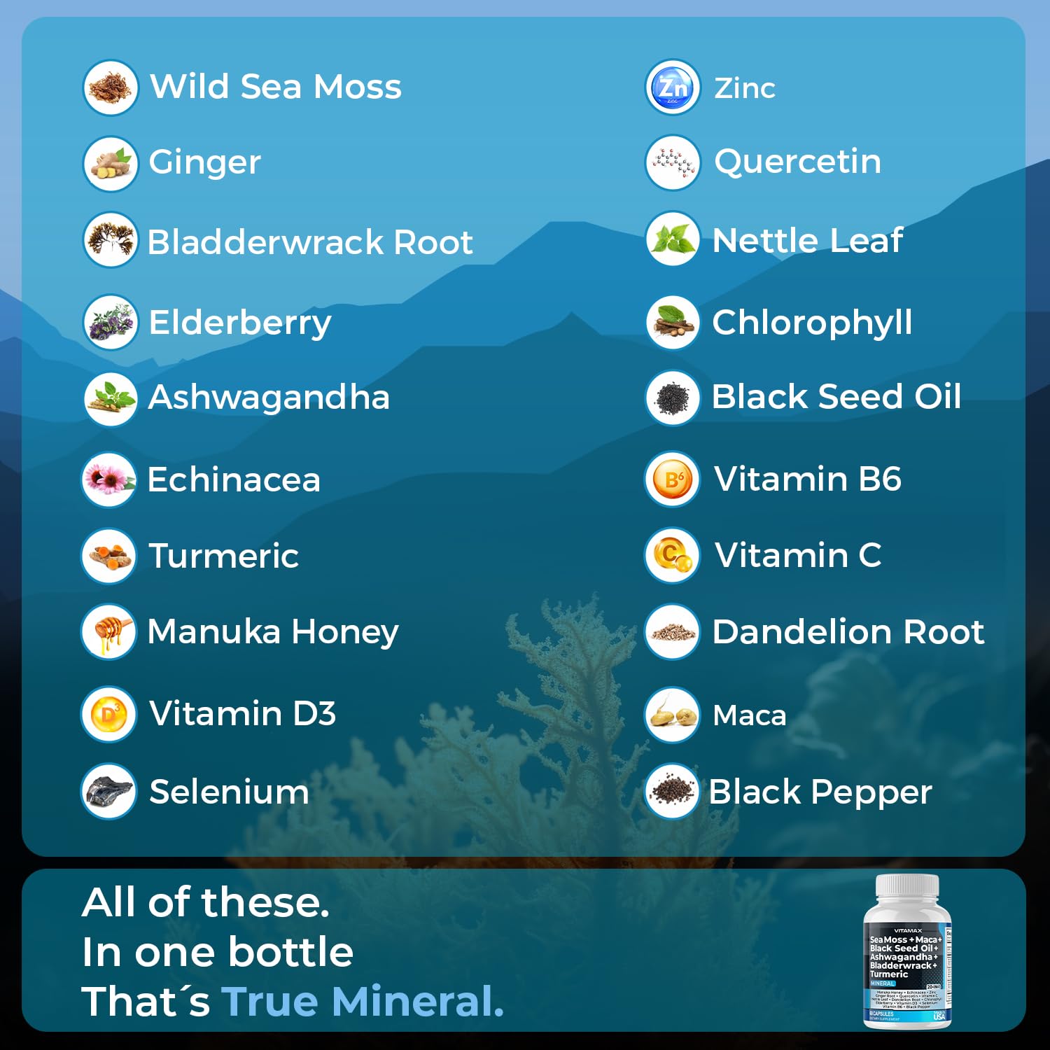 Foto 3 | Suplemento Vitamax True-mineral Sea Moss 3000 Mg Maca 1000 Mg - Venta Internacional.