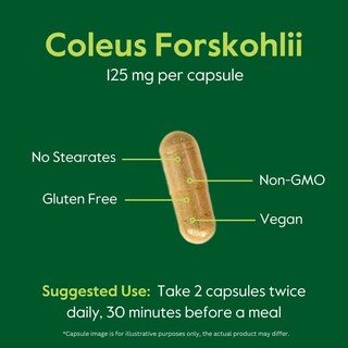 Foto 6 | Suplemento Bestvite Coleus Forskohlii 125 Mg Con Un 20% De Forskolina - Venta Internacional.