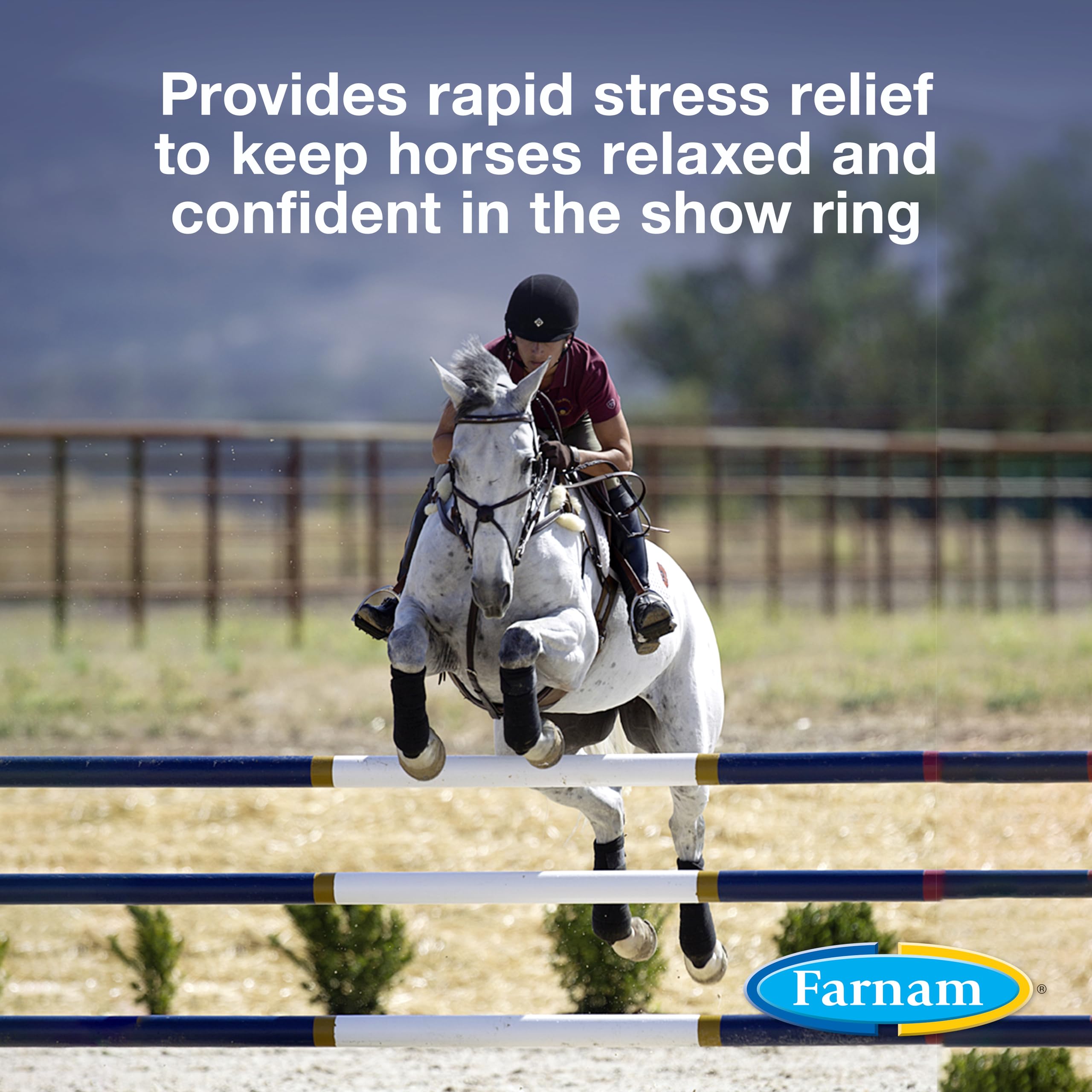 Foto 2 | Pasta Calmante Y Concentradora Farnam Quietex Show Para Caballos, 30 Ml - Venta Internacional.