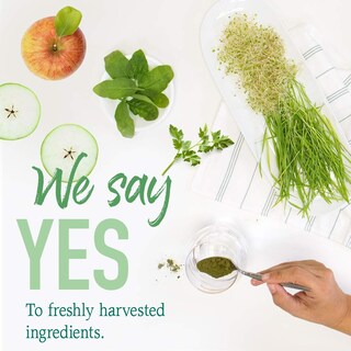 Foto 3 | Suplemento Garden Of Life Raw Organic Perfect Food Green - Venta Internacional.