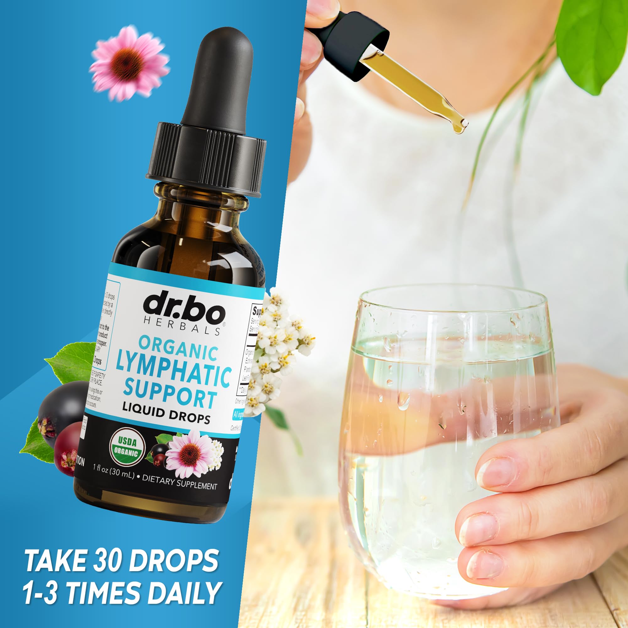 Foto 8 pulgar | Suplementos: Gotas De Drenaje Linfático Orgánicas De 30 Ml Con Equinácea - Venta Internacional.