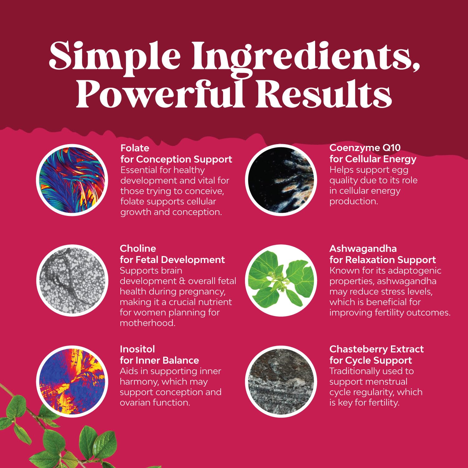 Foto 6 pulgar | Gomitas Fertility Natures Craft Para Mujer Con Mioinositol 30 - Venta Internacional.