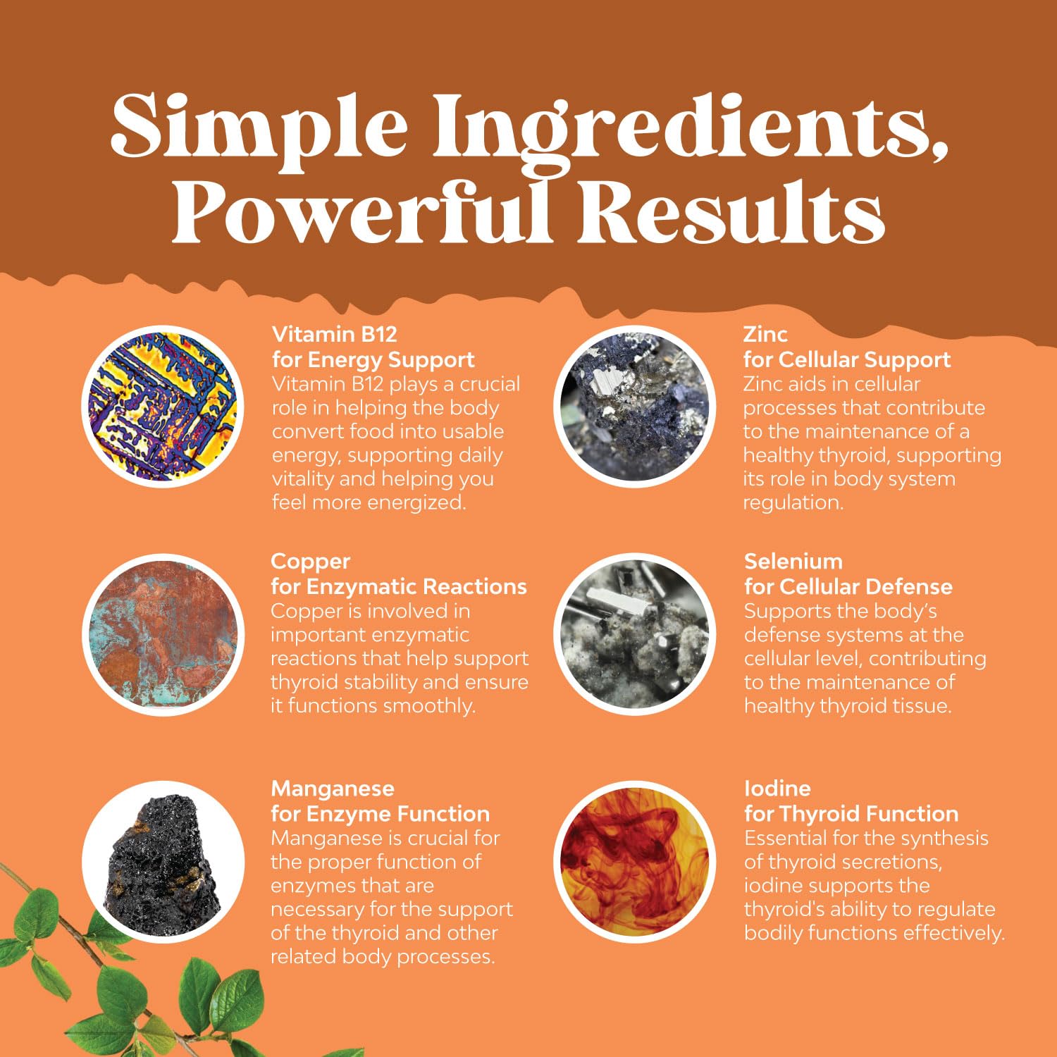 Foto 5 | Gomitas Tiroideas Veganas Supplement Natures Craft 60 Unidades - Venta Internacional.