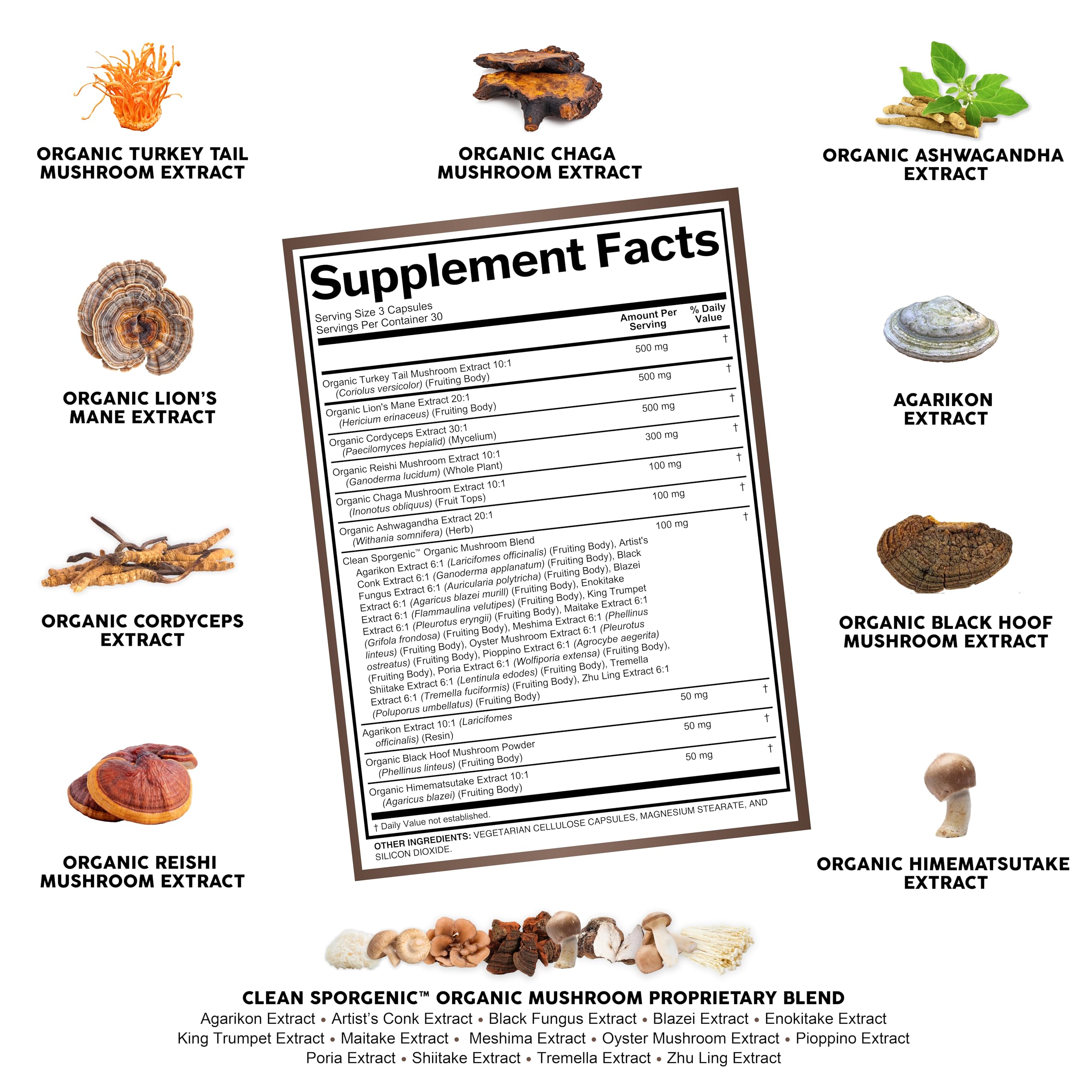Foto 7 | Mezcla De Hongos Orgánicos Supplement Clean Nutra Sporgenic 1 - Venta Internacional.