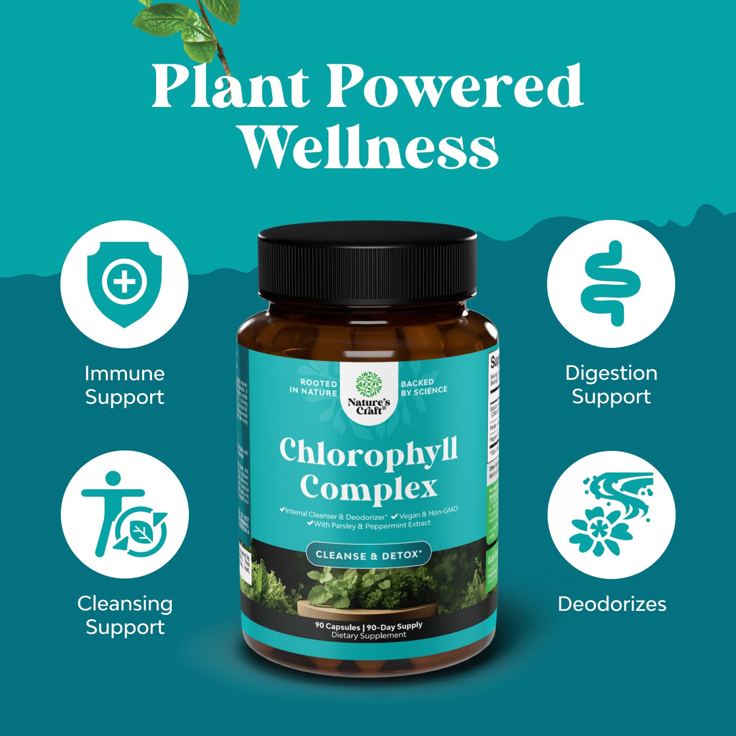 Foto 5 pulgar | Cápsulas De Clorofila Natures Craft Cleanse Detox Support 90c - Venta Internacional.