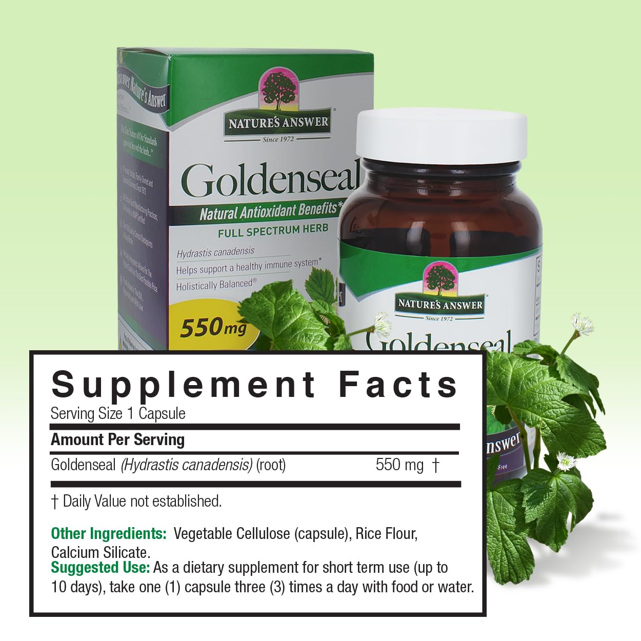 Foto 4 pulgar | Suplemento Nature's Answer Goldenseal Root 50 Cápsulas - Venta Internacional.