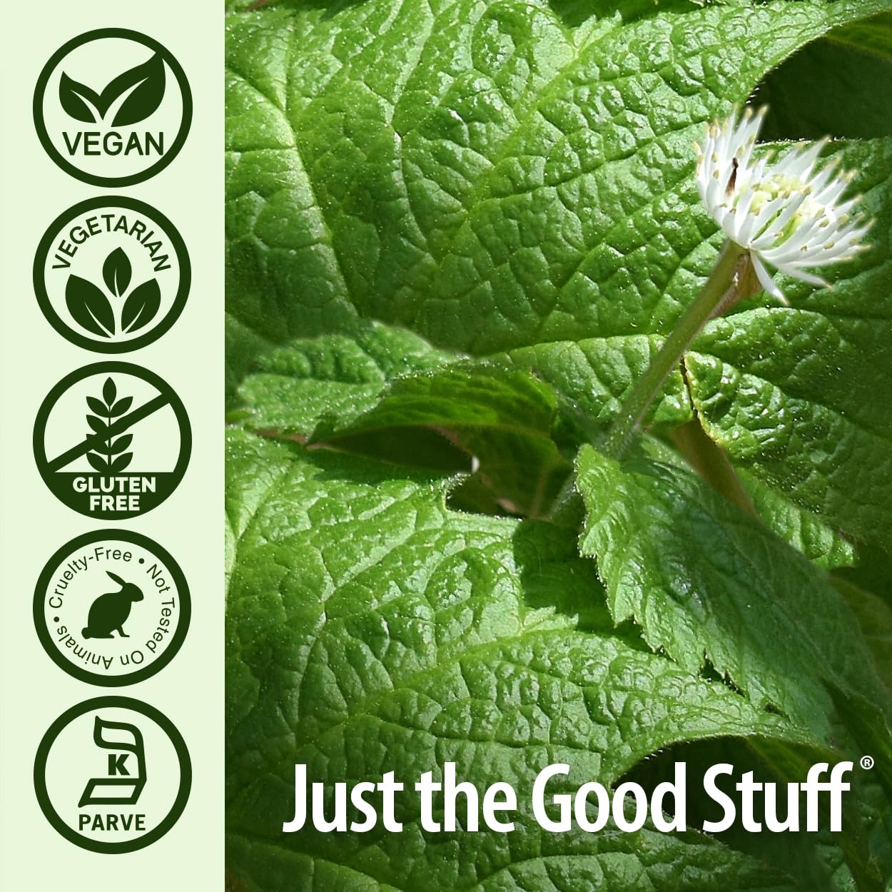 Foto 5 | Suplemento Nature's Answer Goldenseal Root 50 Cápsulas - Venta Internacional.