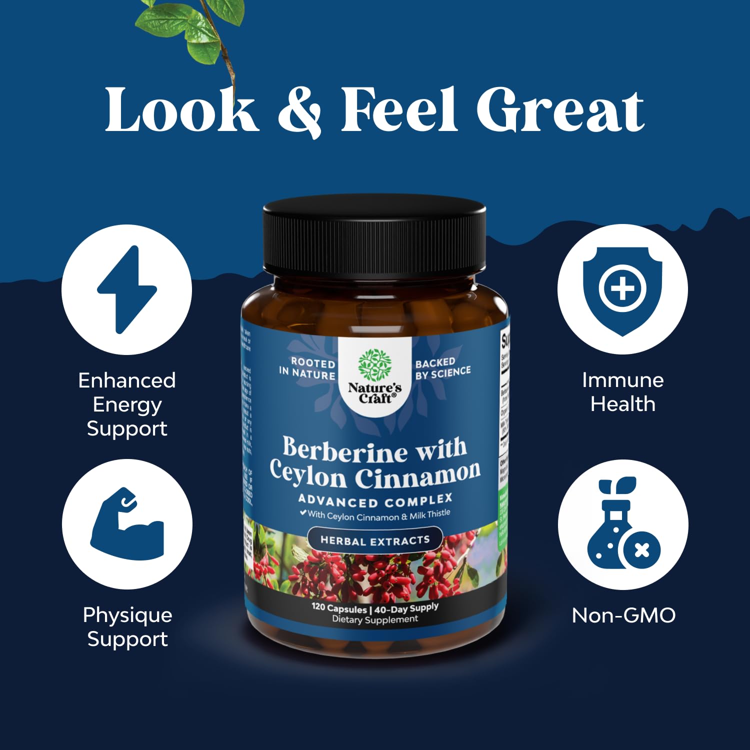 Foto 5 pulgar | Complejo Balancing Berberine Plus De 1200 Mg Por Porción, Berberina Antioxidante Con Cápsulas De Can - Venta Intern